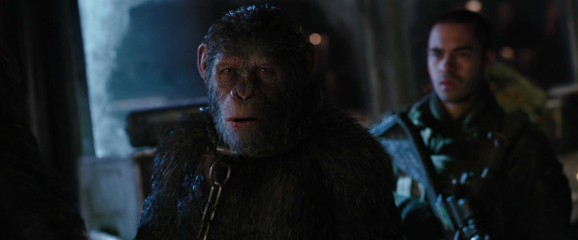 War for the Planet of the Apes (2017) movie still 9016