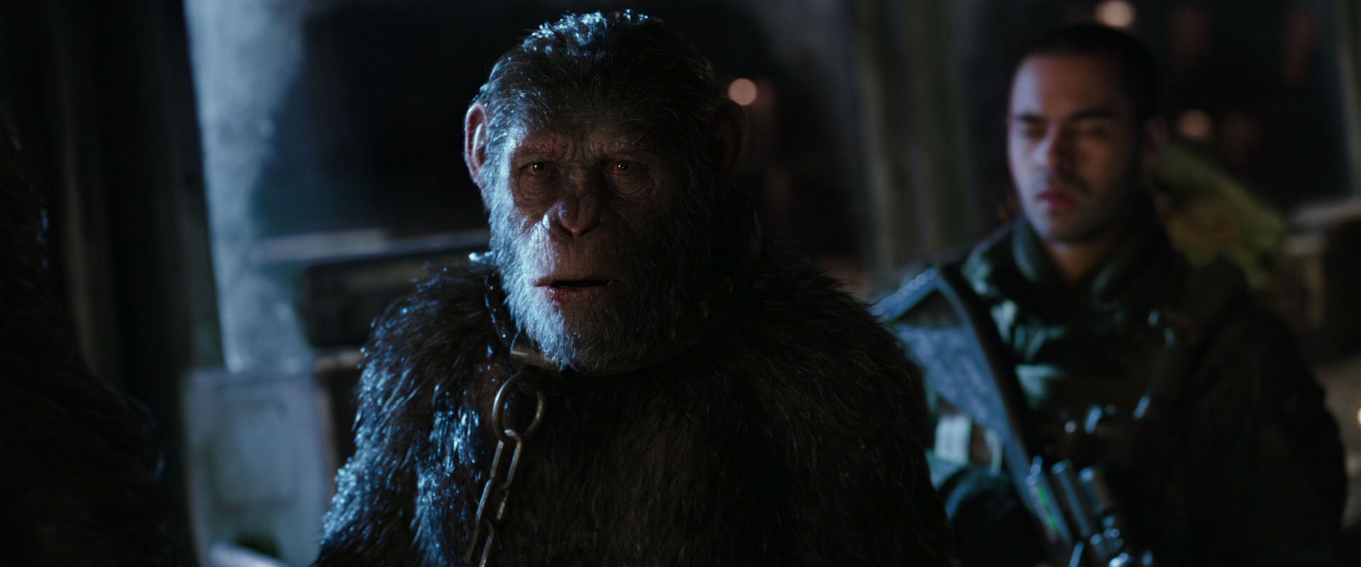 War for the Planet of the Apes (2017) HD screenshot 9017