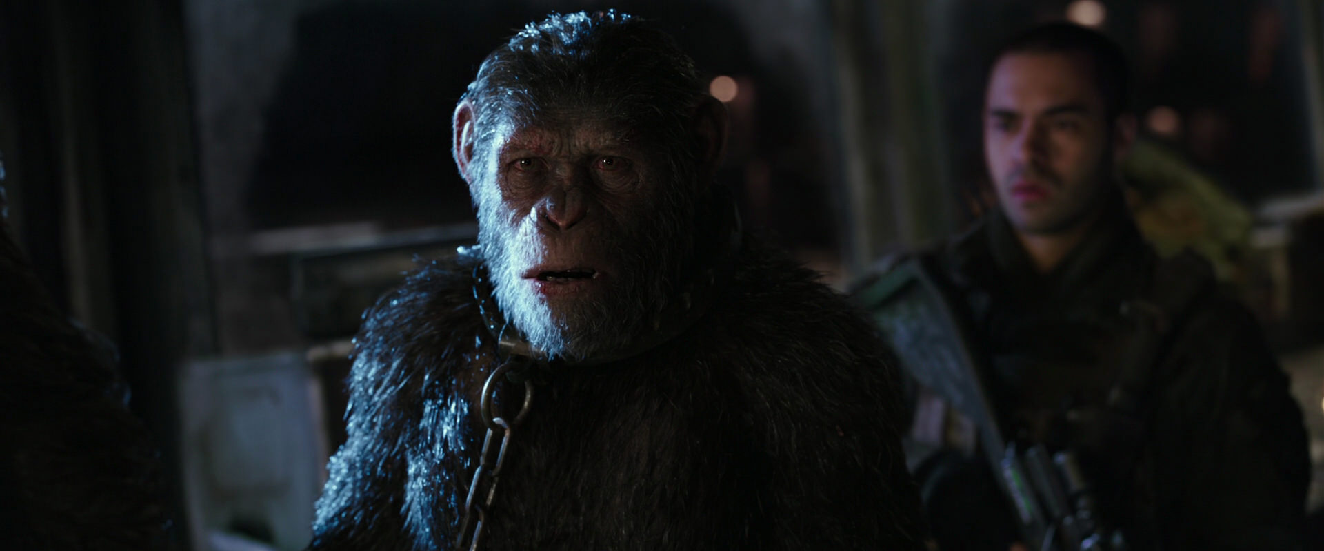 War for the Planet of the Apes (2017) movie still 9019