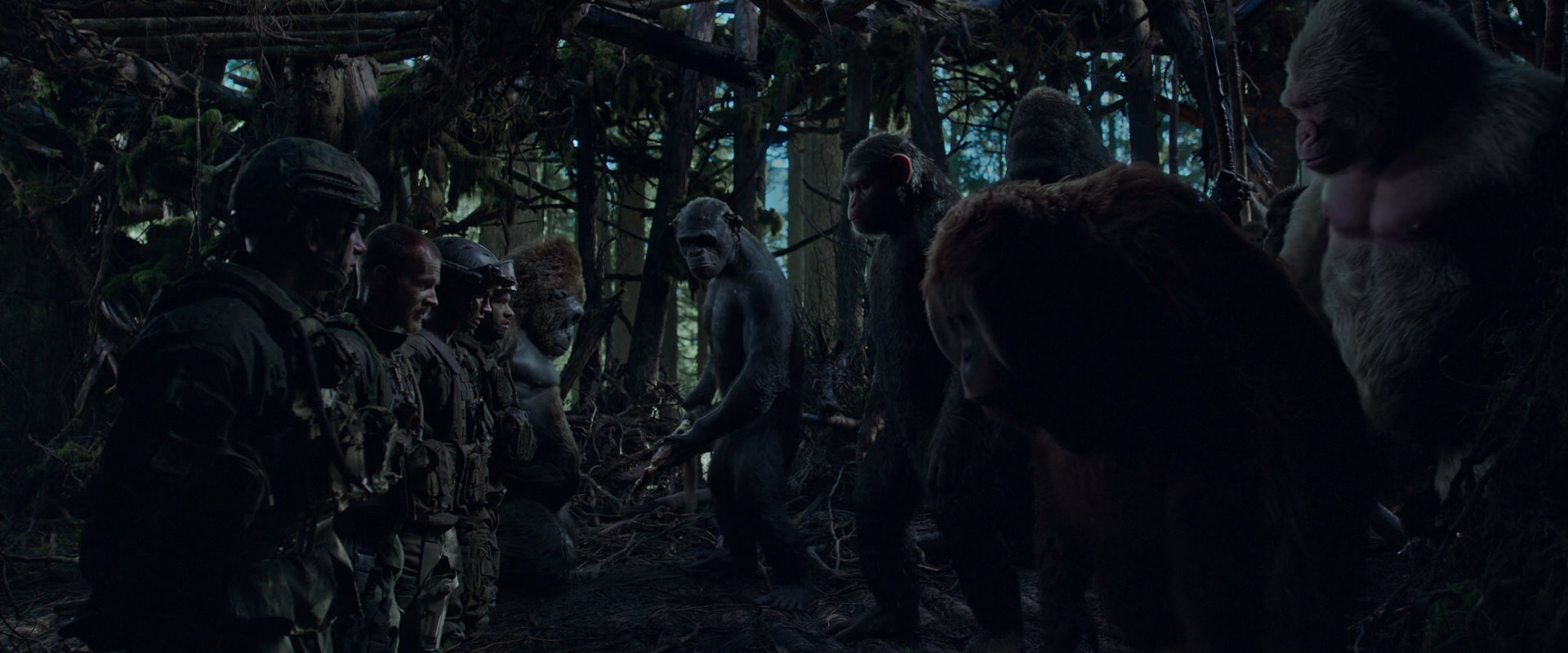War for the Planet of the Apes (2017) HD screenshot 902