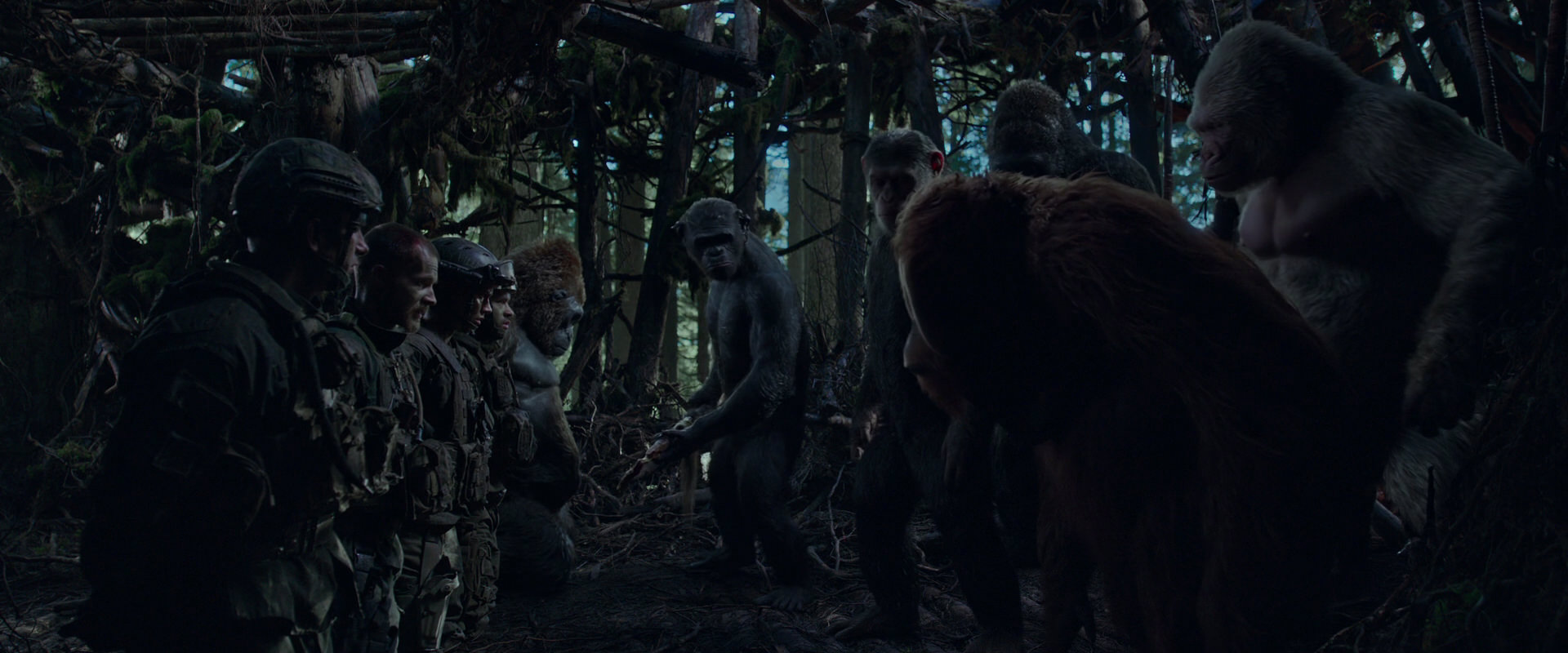 War for the Planet of the Apes (2017) screencap 903