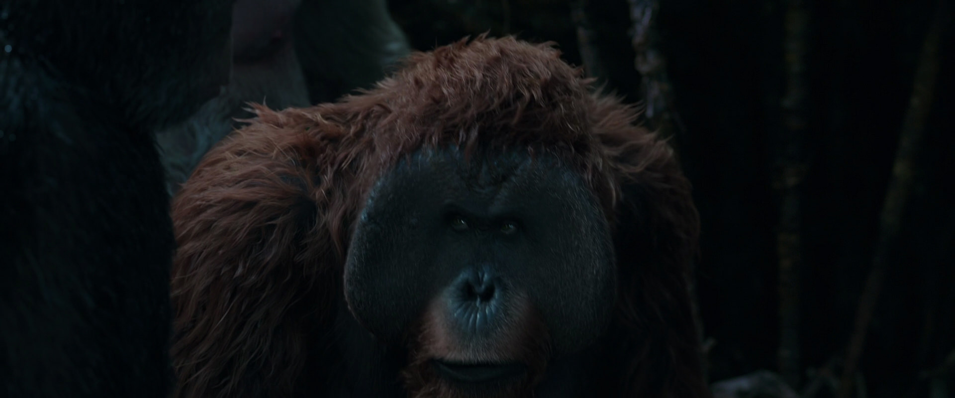 War for the Planet of the Apes (2017) movie still 904