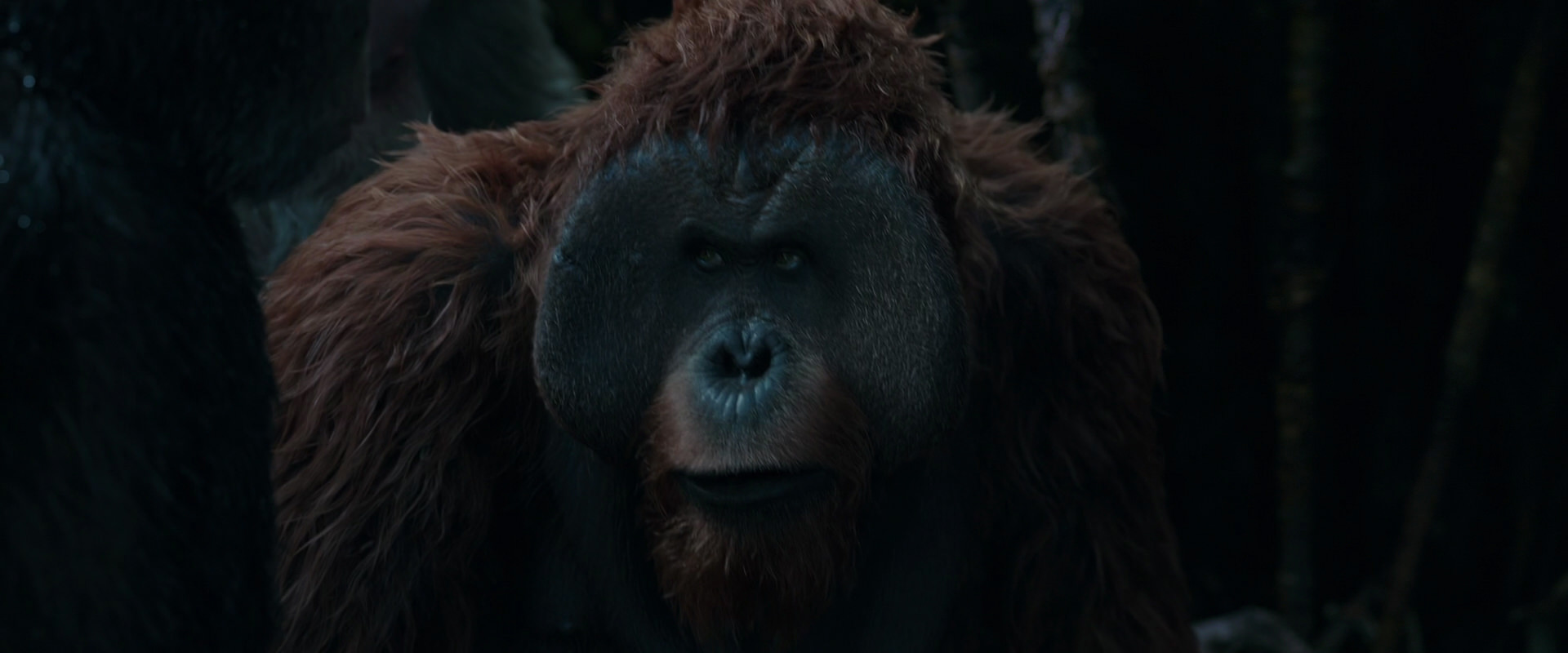 War for the Planet of the Apes (2017) HD screenshot 905