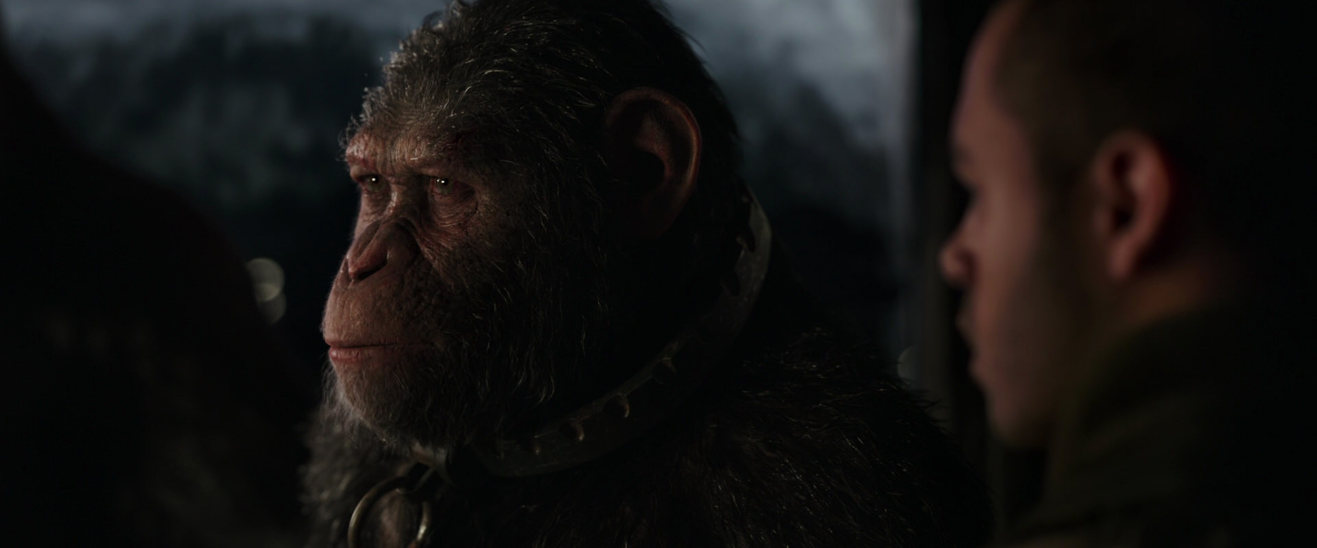 War for the Planet of the Apes (2017) screencap 9057