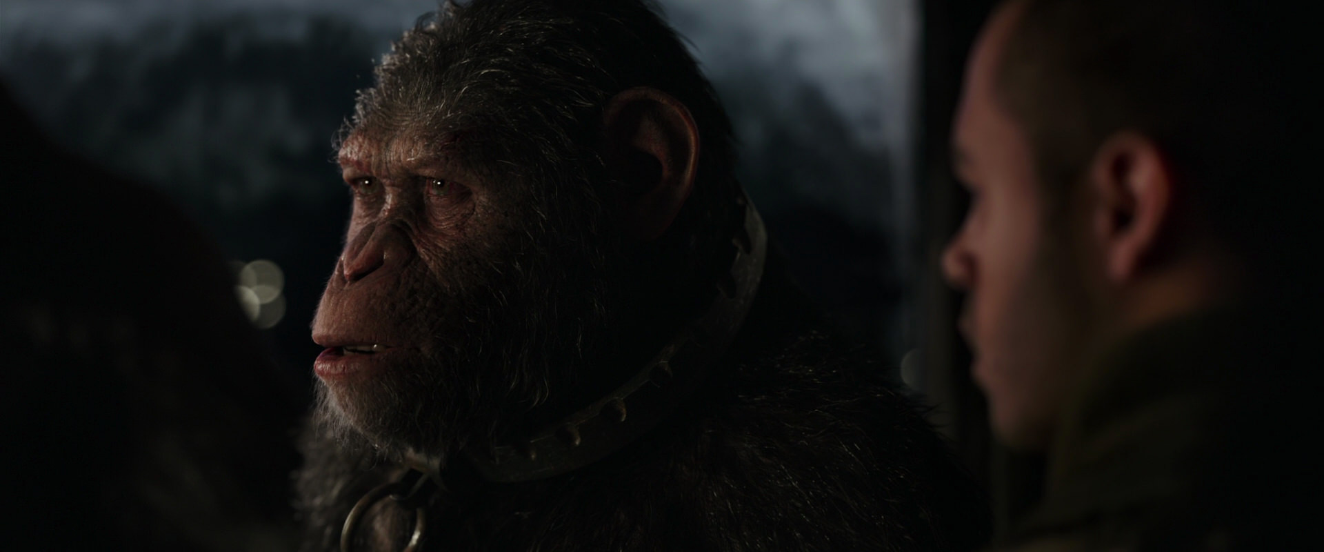 War for the Planet of the Apes (2017) movie still 9058