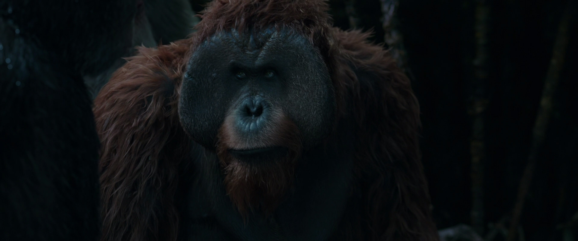 War for the Planet of the Apes (2017) screencap 906