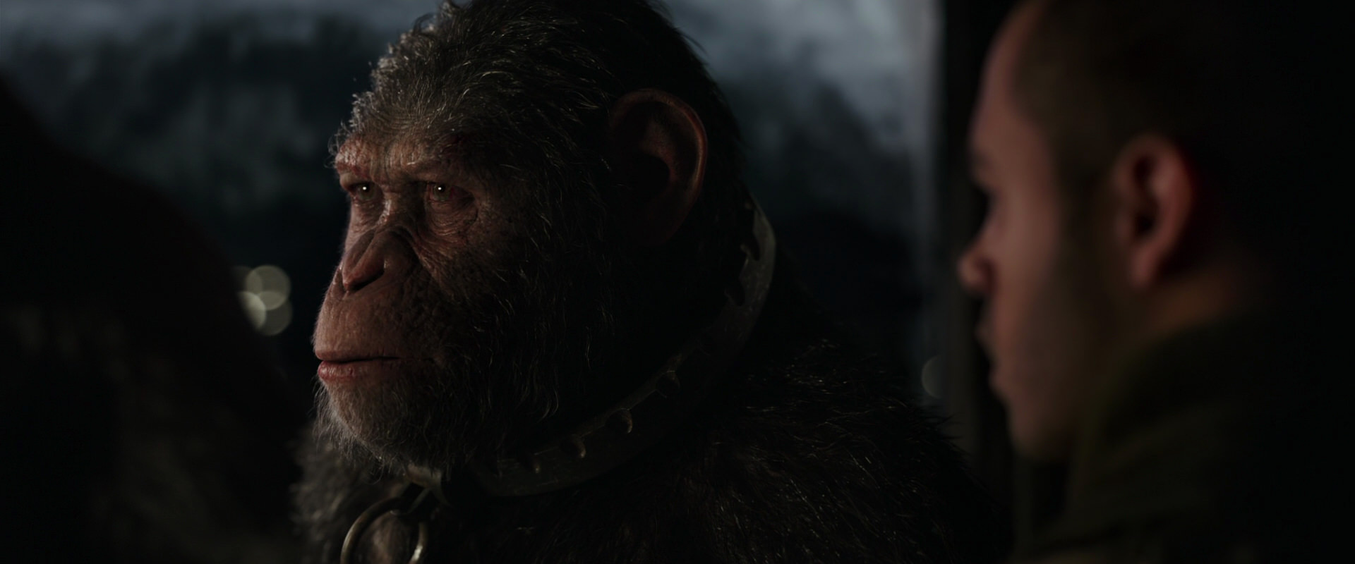 War for the Planet of the Apes (2017) screencap 9060