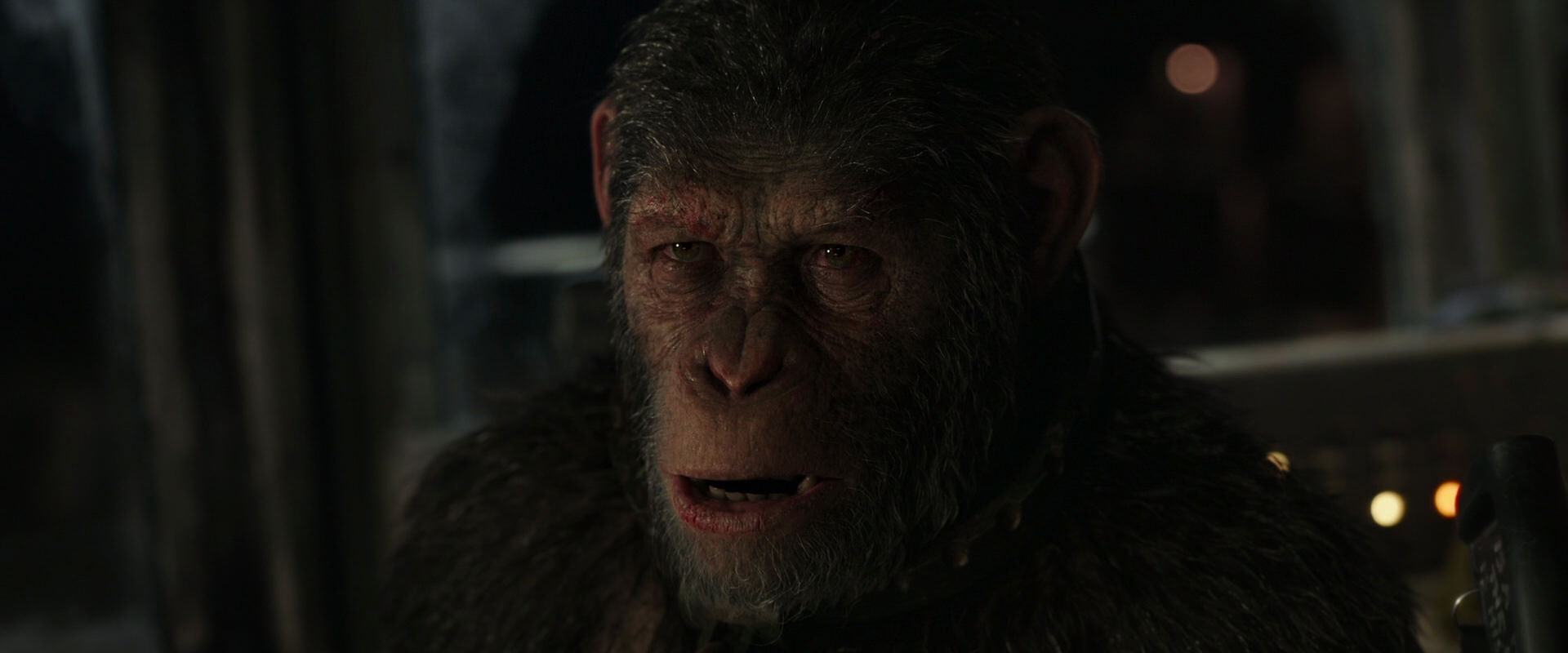 War for the Planet of the Apes (2017) HD screenshot 9065
