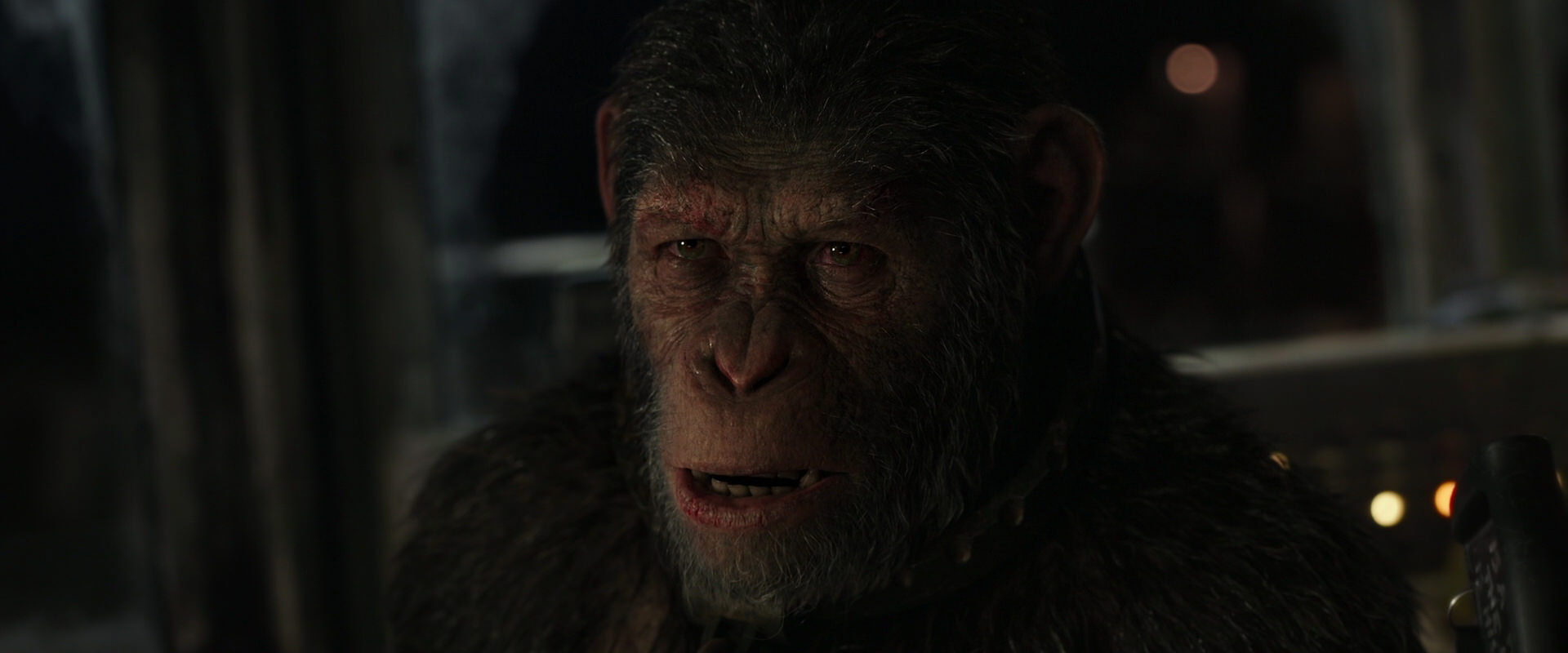 War for the Planet of the Apes (2017) screencap 9069