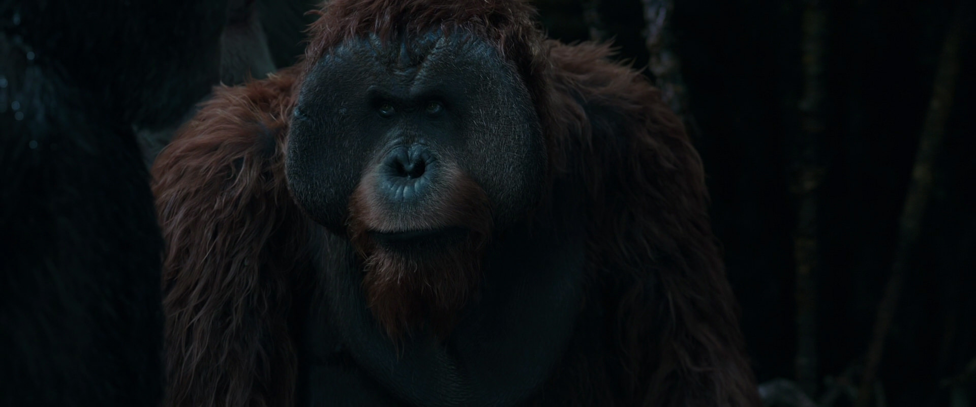 War for the Planet of the Apes (2017) movie still 907