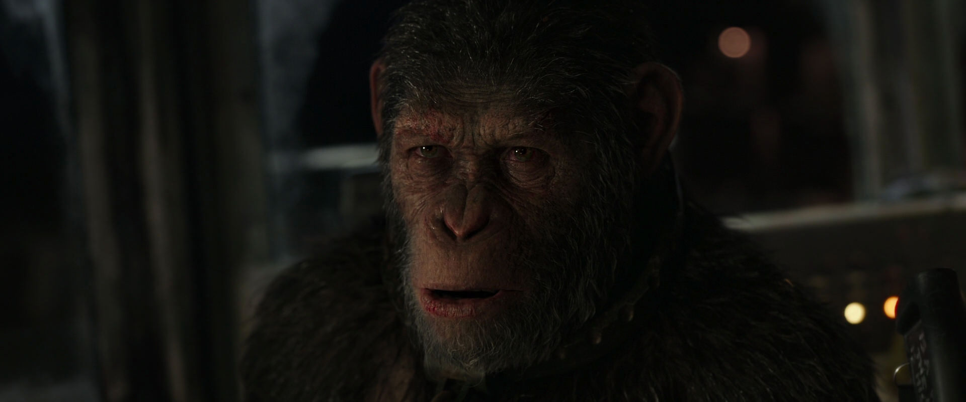 War for the Planet of the Apes (2017) movie still 9070