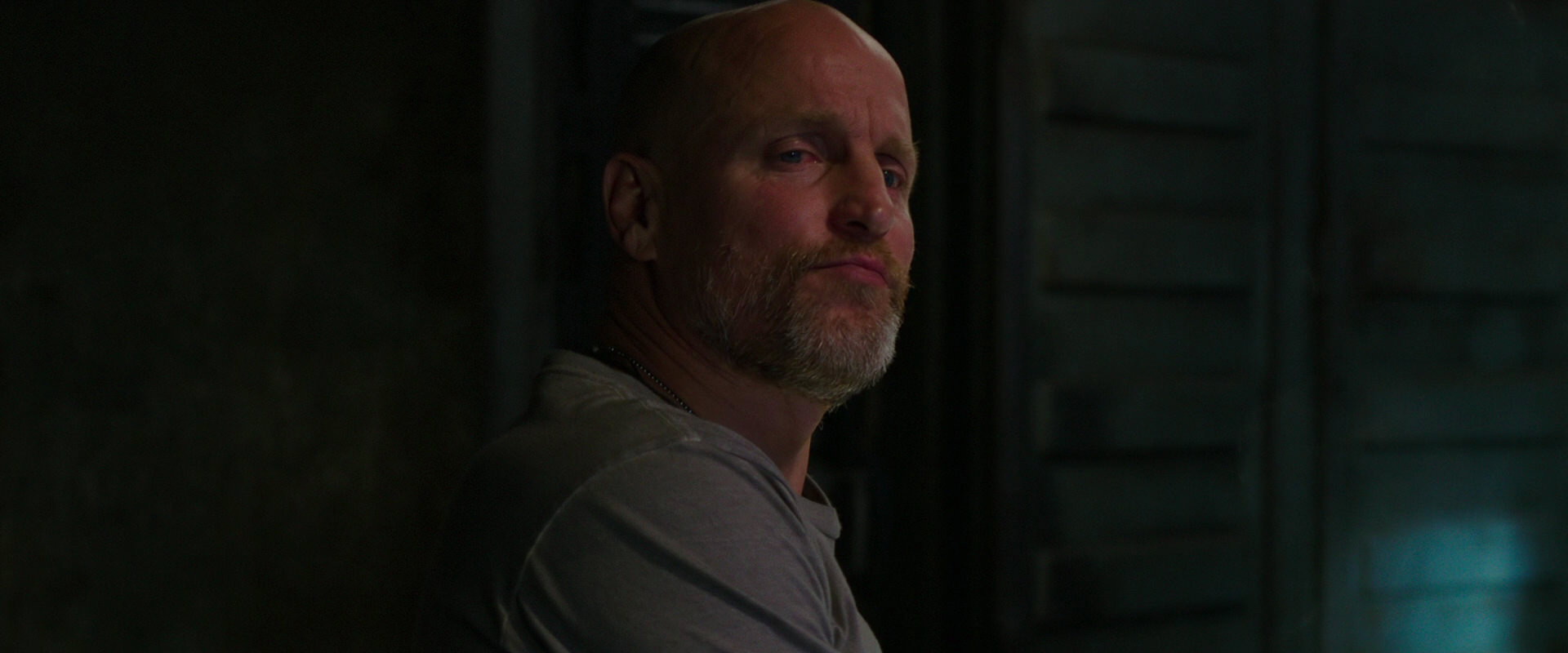 War for the Planet of the Apes (2017) screencap 9078