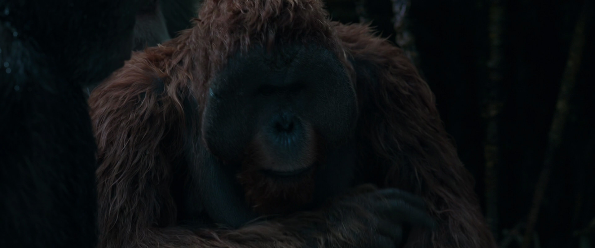 War for the Planet of the Apes (2017) HD screenshot 908