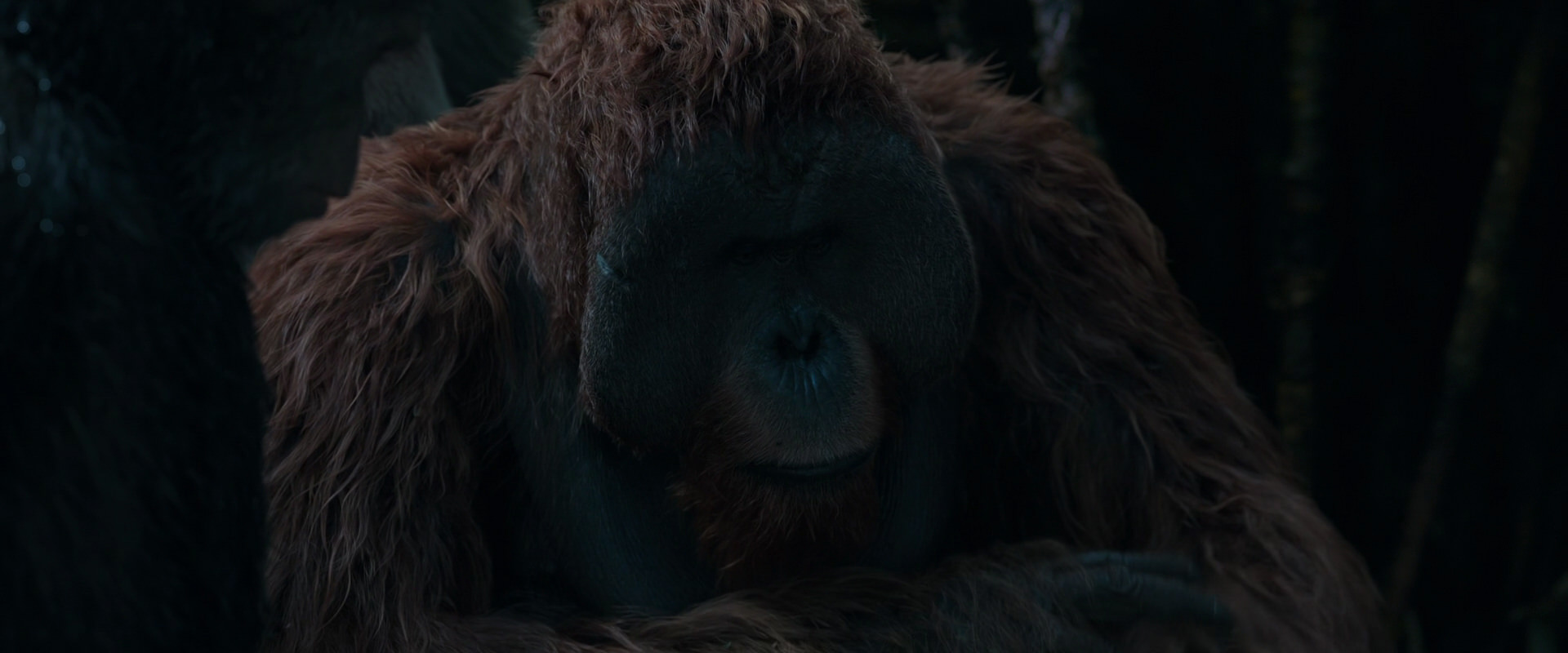War for the Planet of the Apes (2017) screencap 909