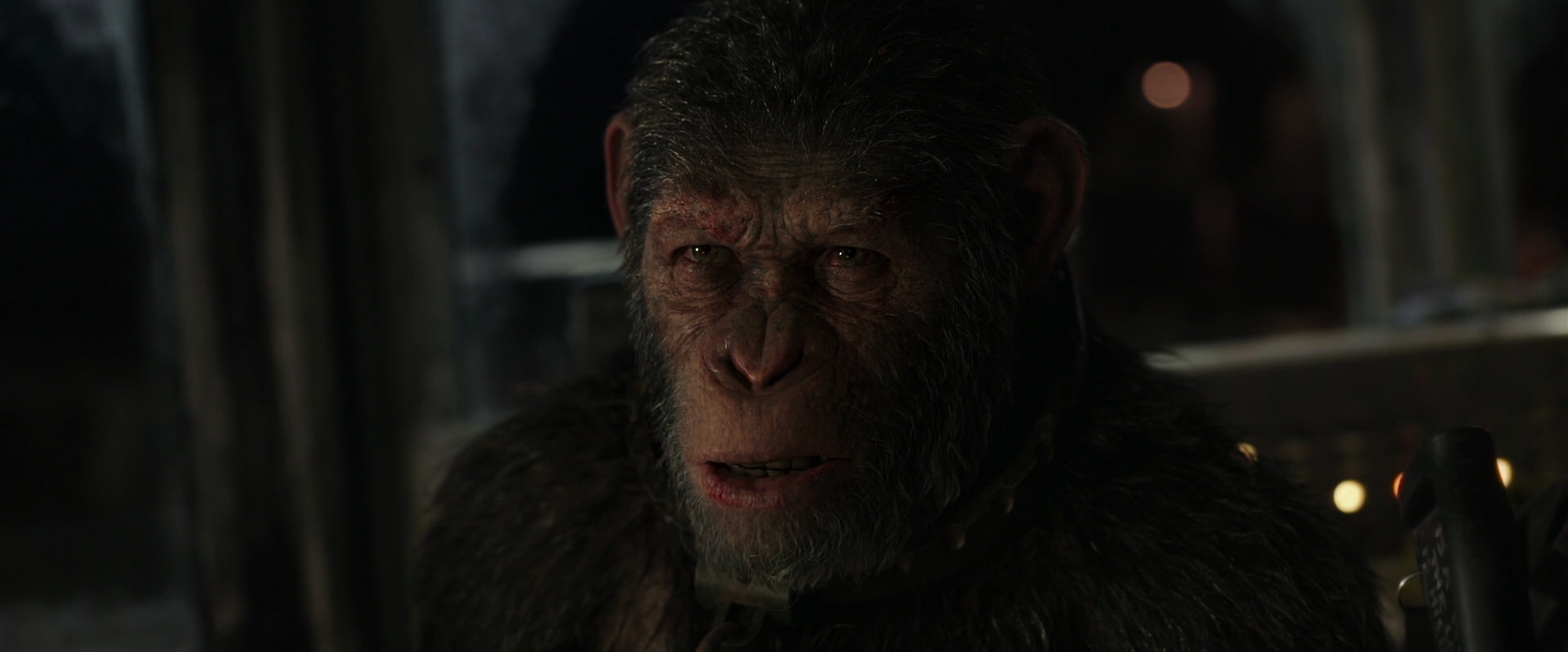 War for the Planet of the Apes (2017) screencap 9099