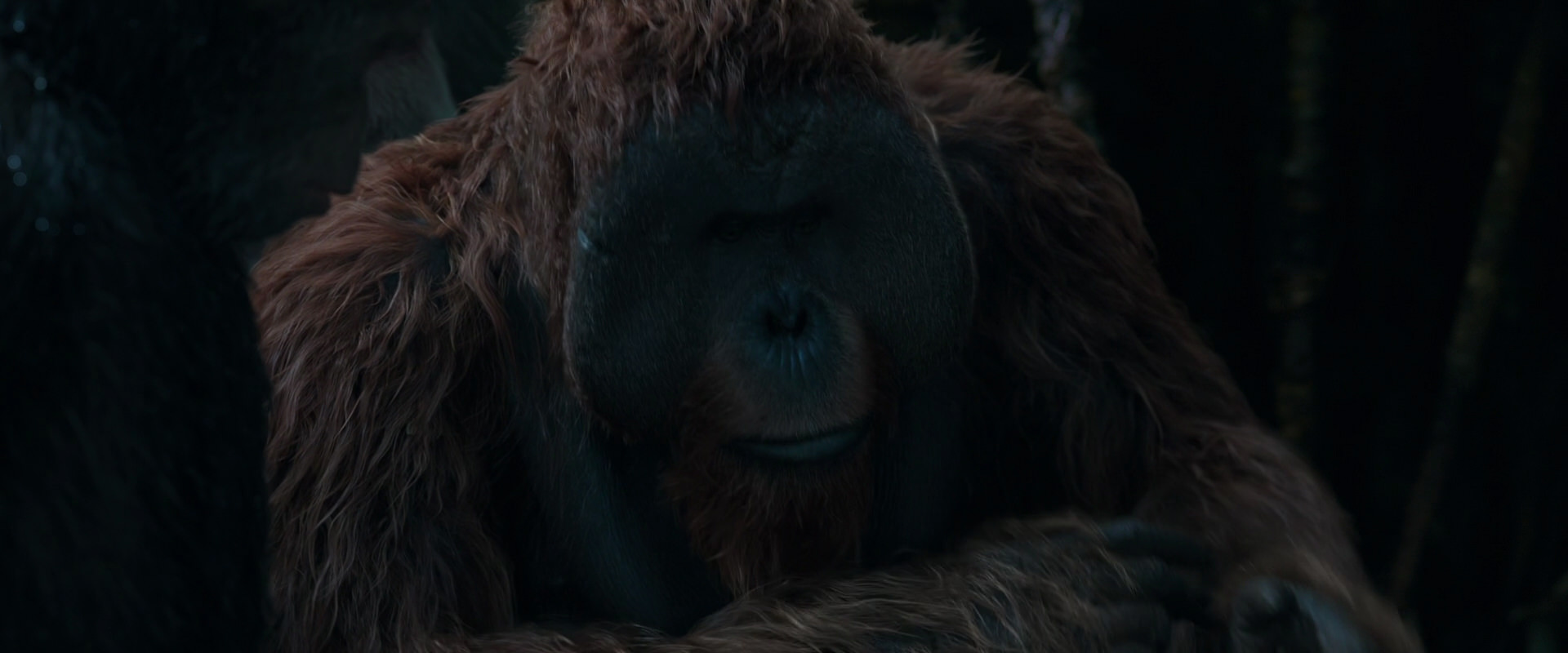 War for the Planet of the Apes (2017) movie still 910