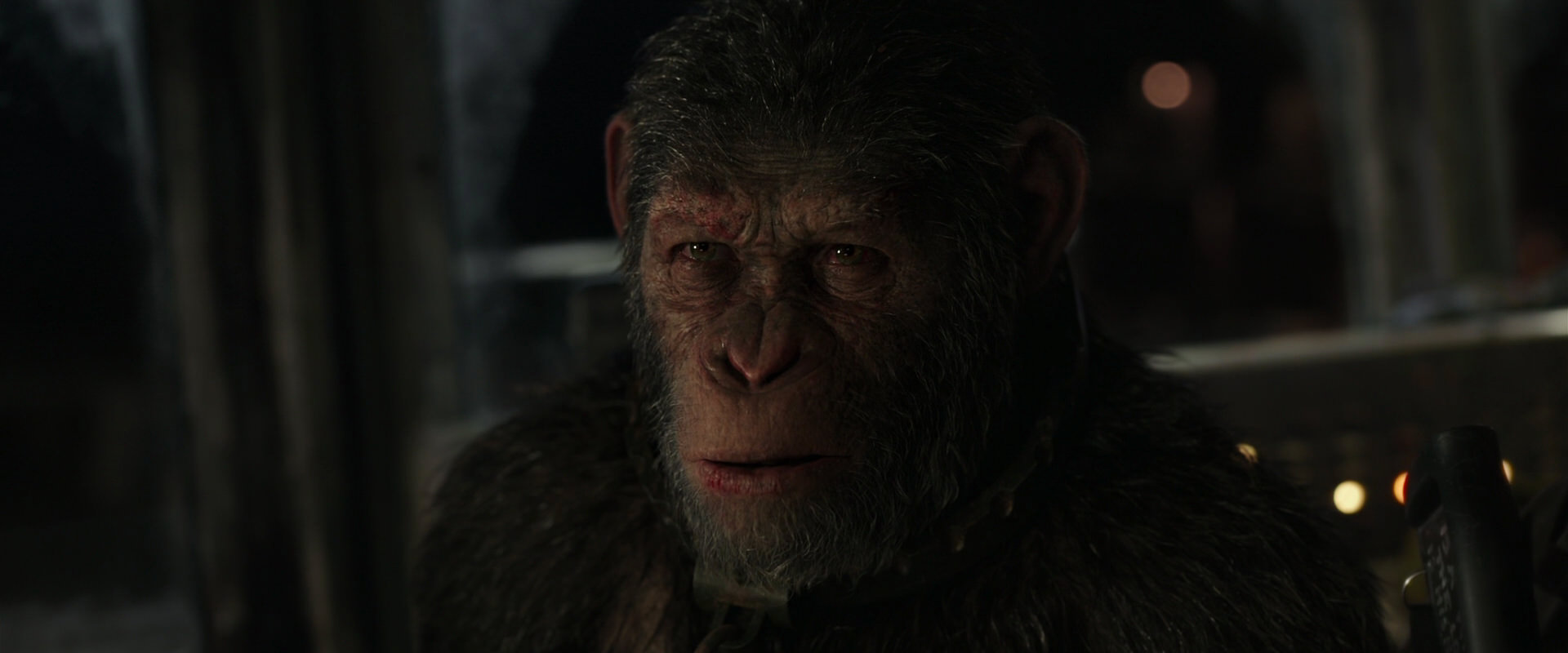 War for the Planet of the Apes (2017) movie still 9100