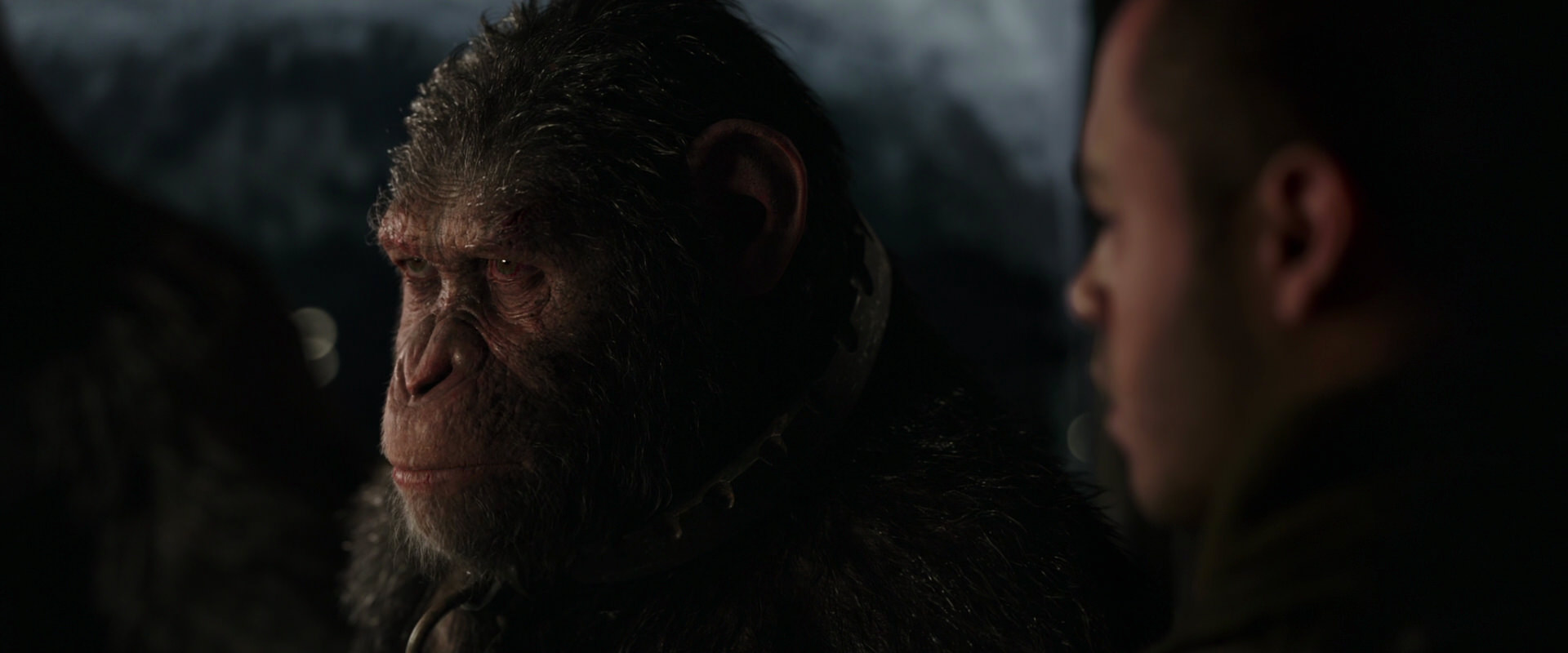 War for the Planet of the Apes (2017) movie still 9109