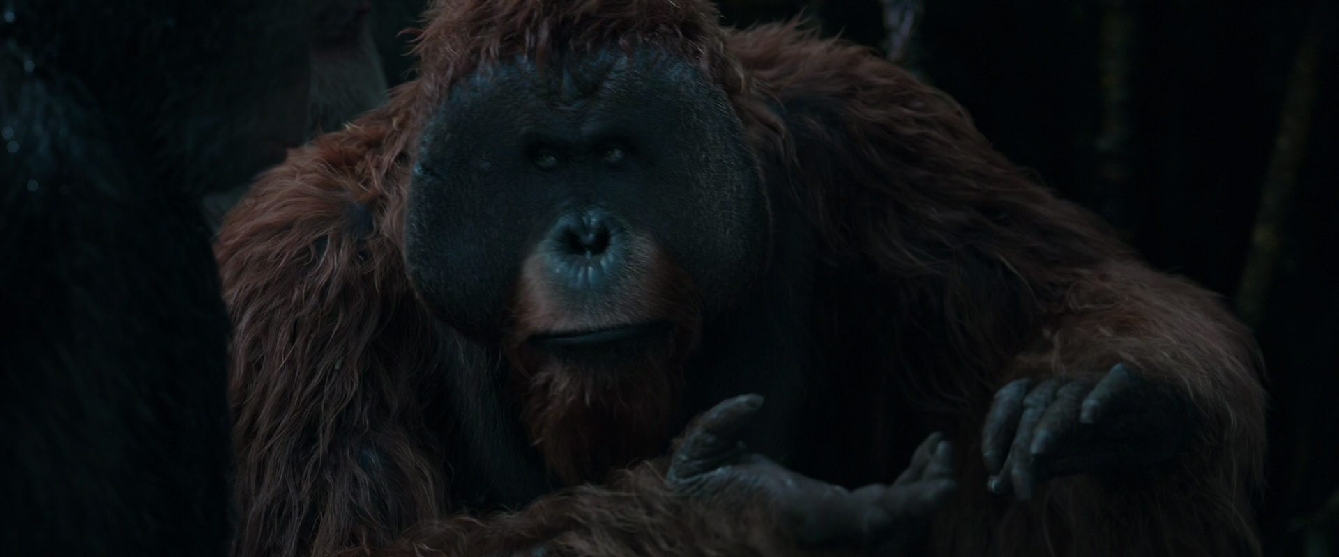 War for the Planet of the Apes (2017) HD screenshot 911