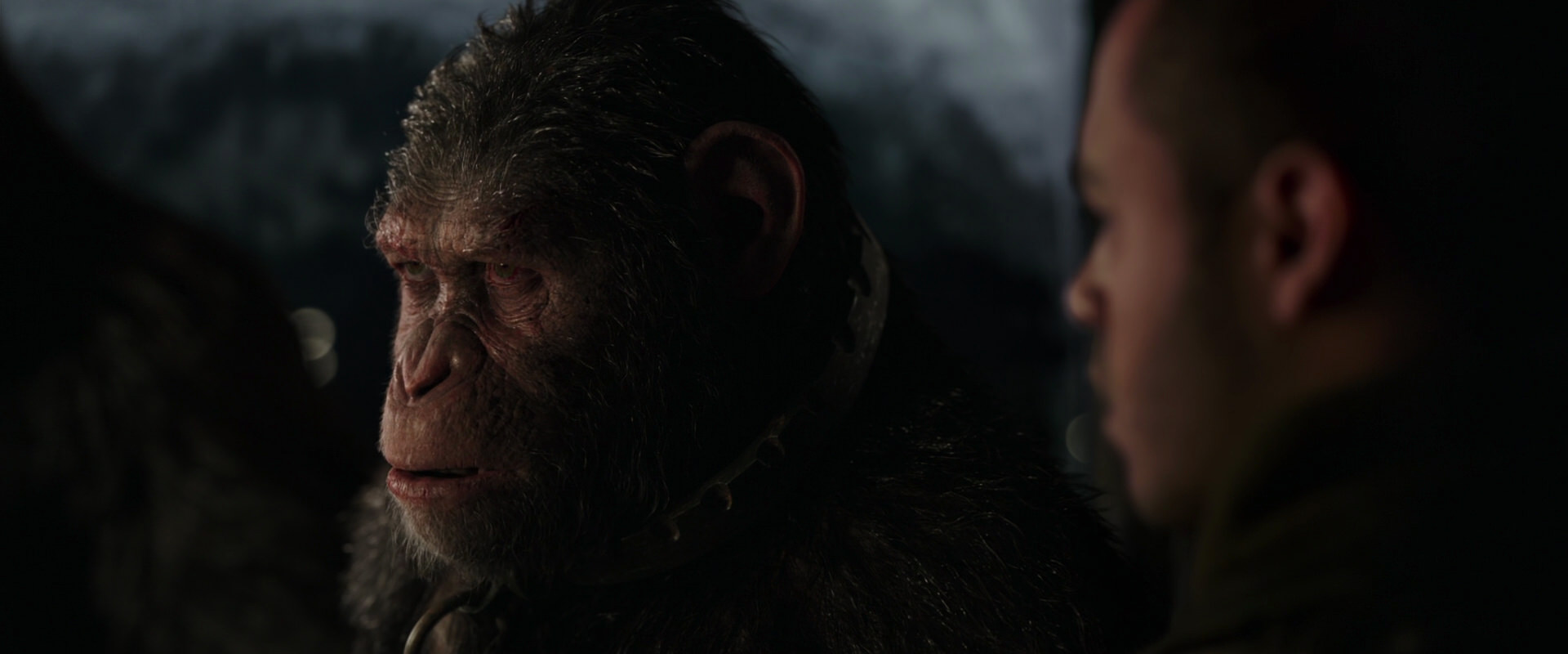 War for the Planet of the Apes (2017) screencap 9111
