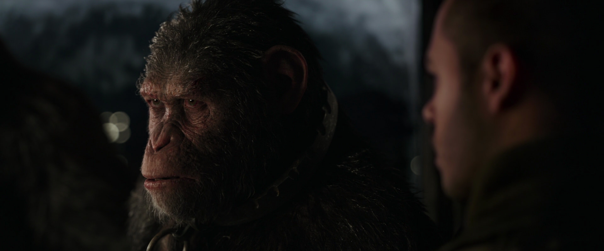 War for the Planet of the Apes (2017) movie still 9118