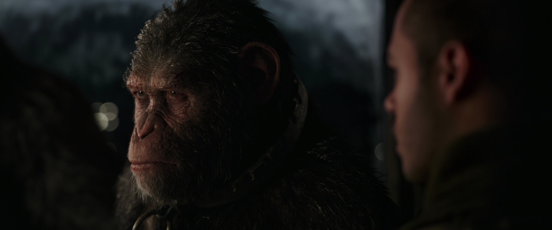 War for the Planet of the Apes (2017) HD screenshot 9119