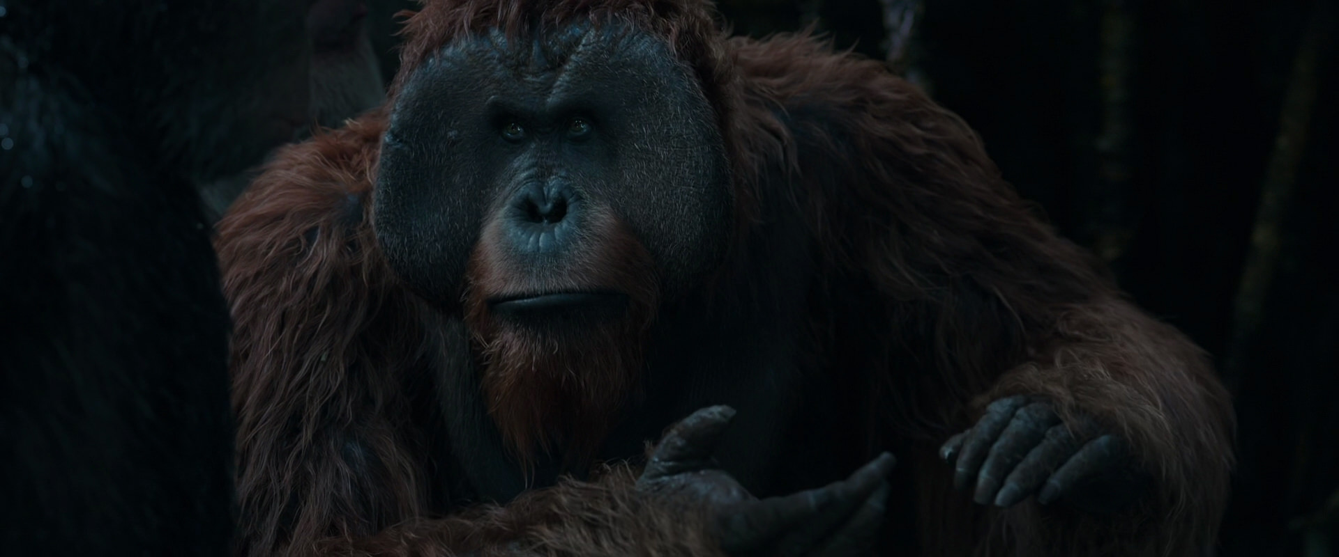 War for the Planet of the Apes (2017) screencap 912