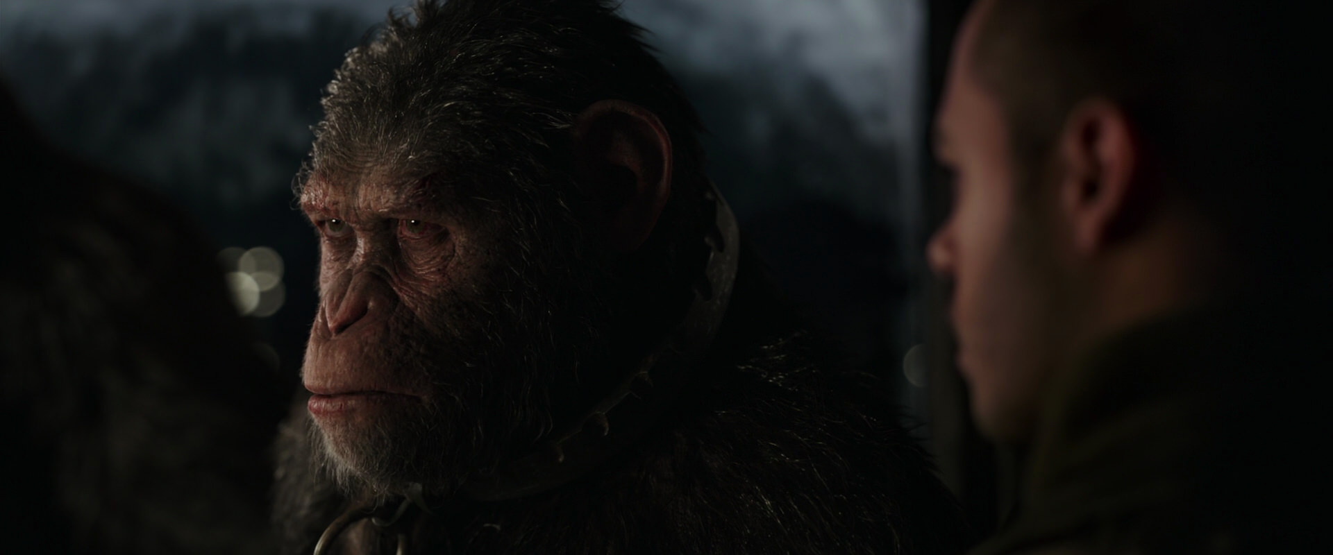 War for the Planet of the Apes (2017) movie still 9121