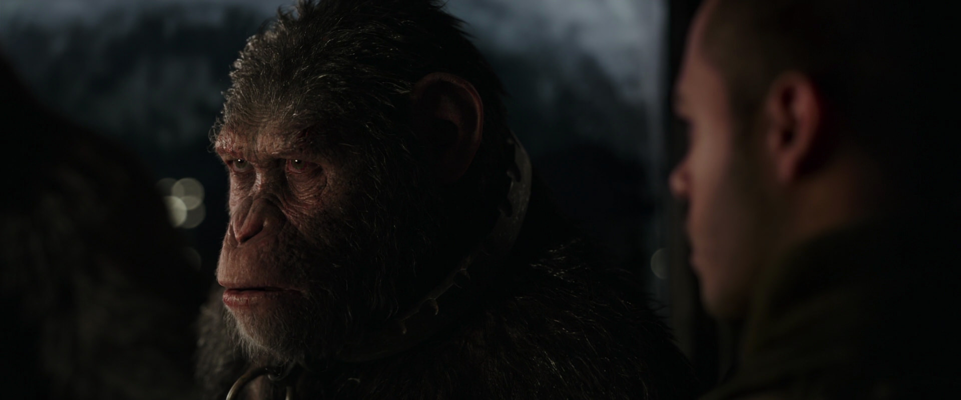 War for the Planet of the Apes (2017) screencap 9123