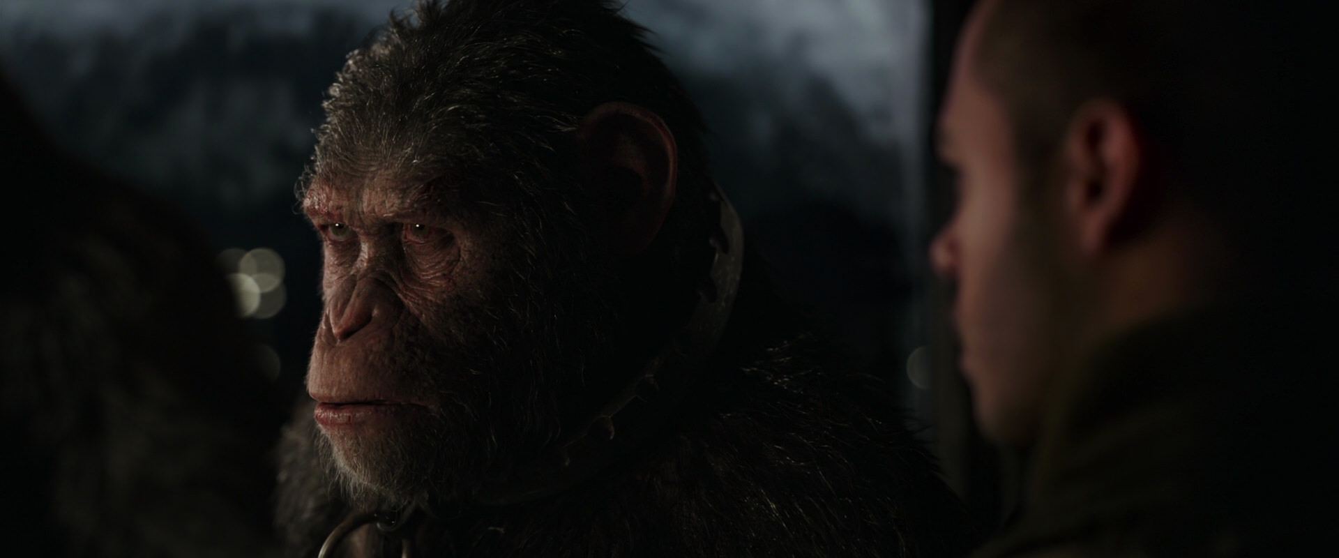 War for the Planet of the Apes (2017) movie still 9124