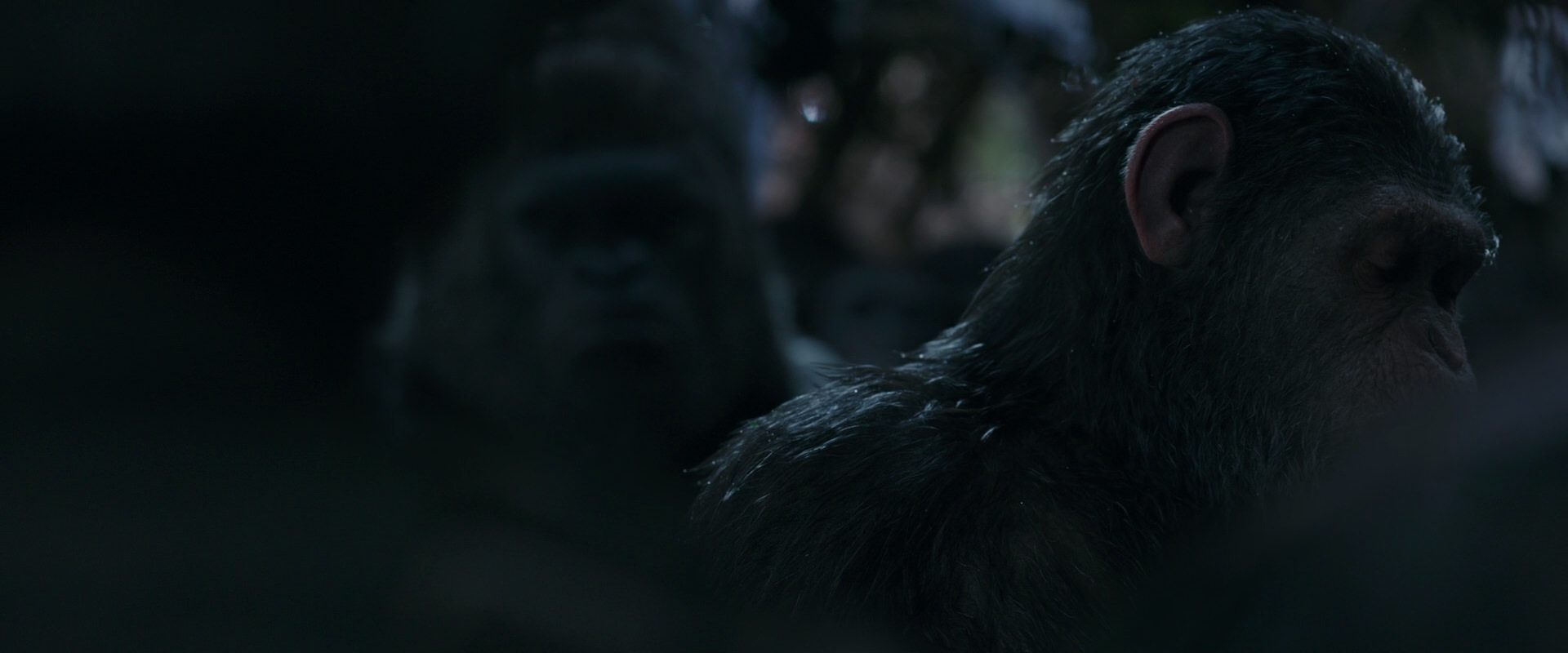 War for the Planet of the Apes (2017) movie still 913