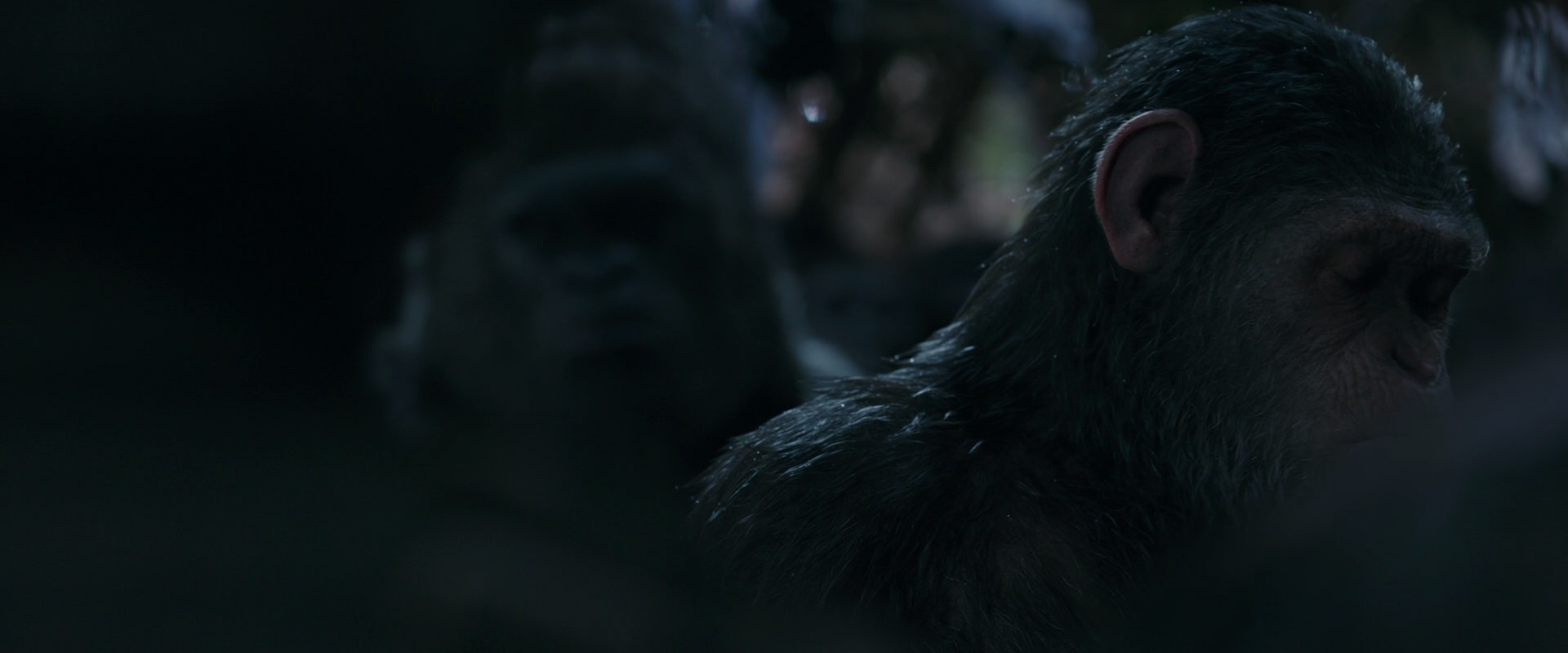 War for the Planet of the Apes (2017) HD screenshot 914