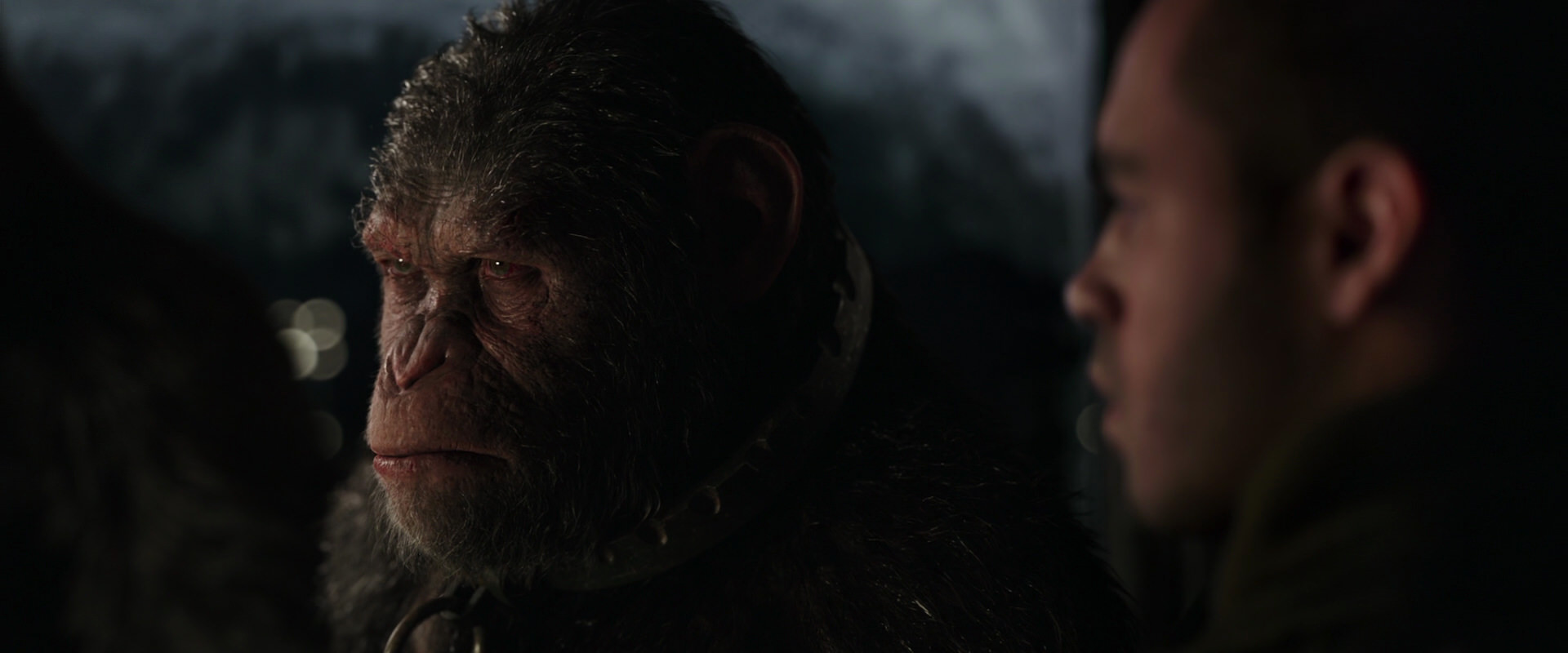 War for the Planet of the Apes (2017) movie still 9142