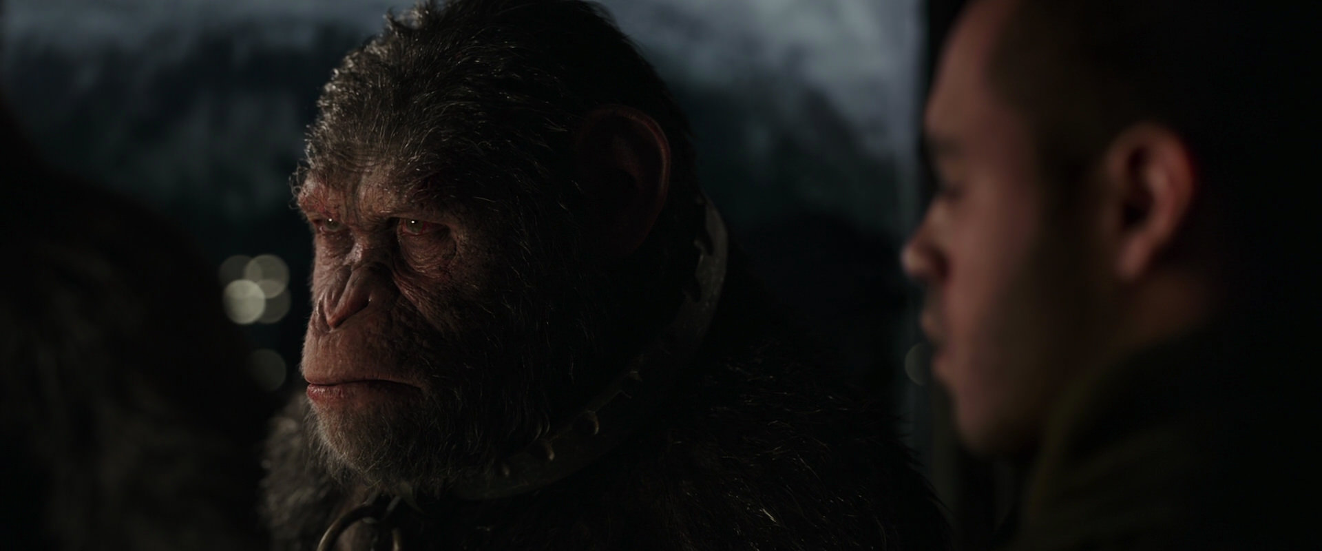 War for the Planet of the Apes (2017) HD screenshot 9146