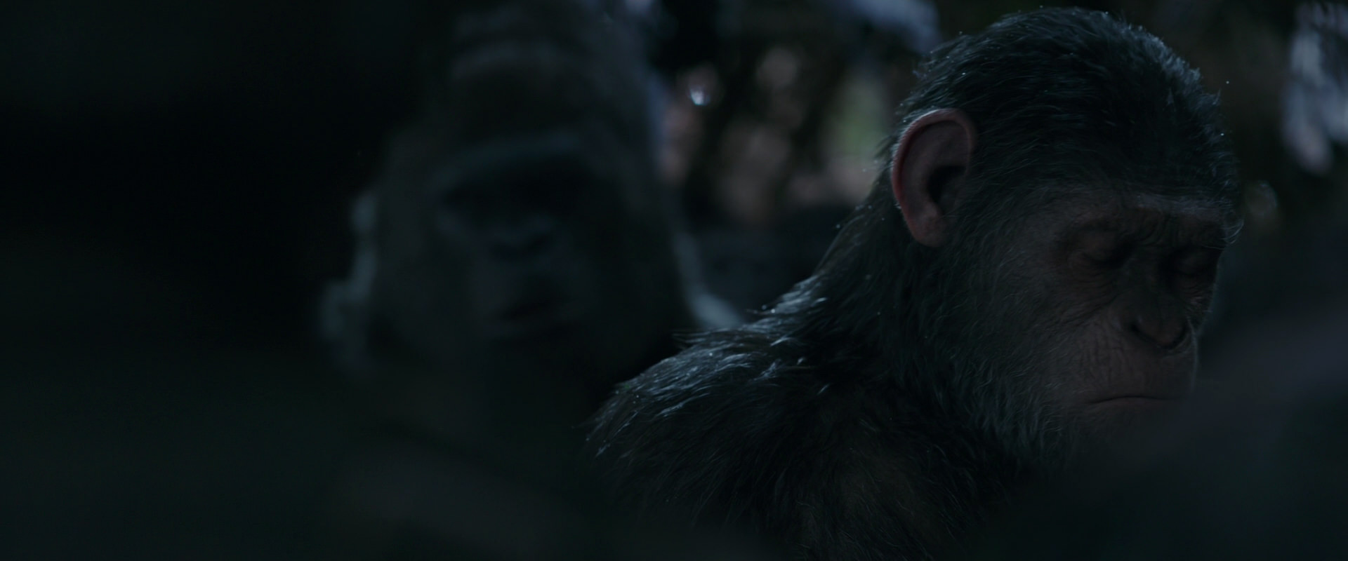 War for the Planet of the Apes (2017) screencap 915