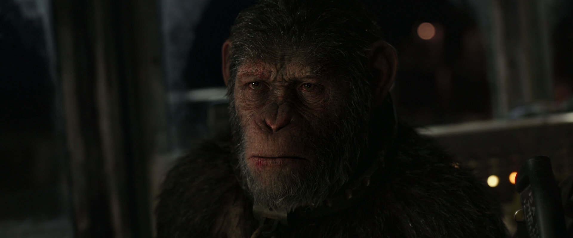War for the Planet of the Apes (2017) screencap 9156