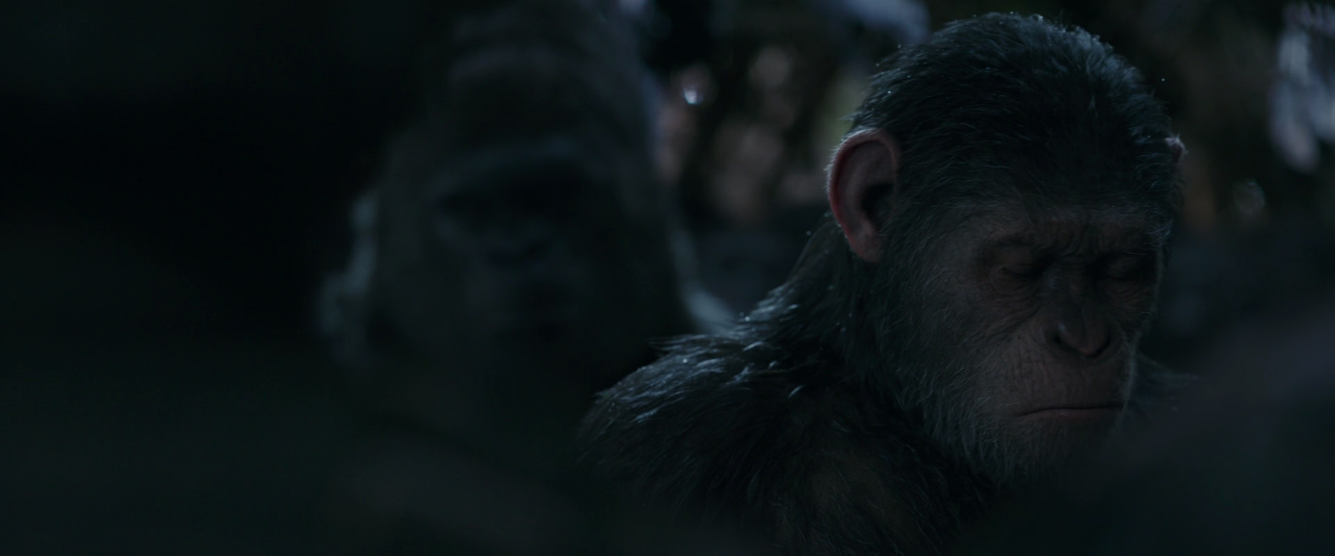 War for the Planet of the Apes (2017) movie still 916