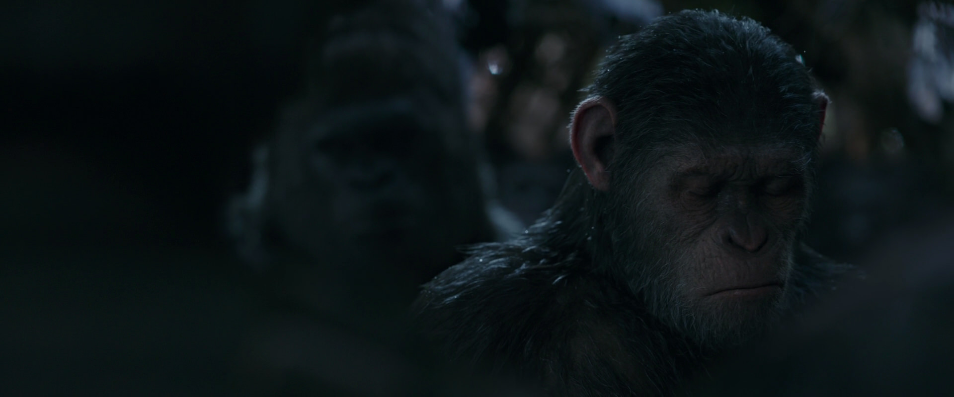 War for the Planet of the Apes (2017) HD screenshot 917
