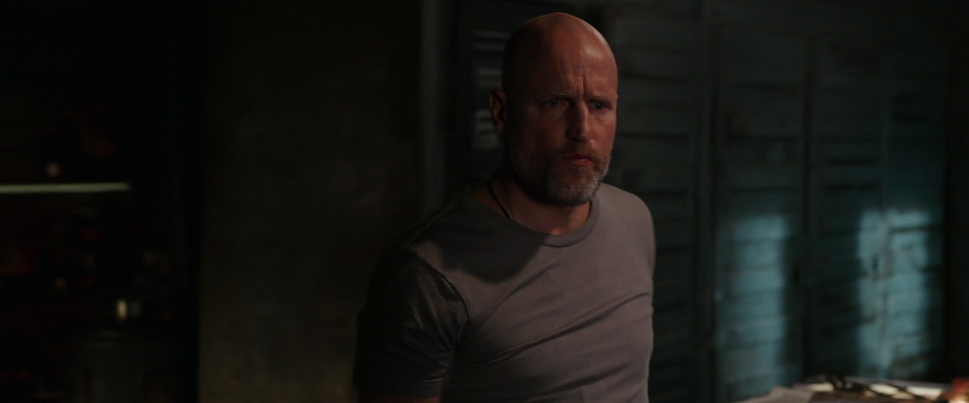 War for the Planet of the Apes (2017) screencap 9180