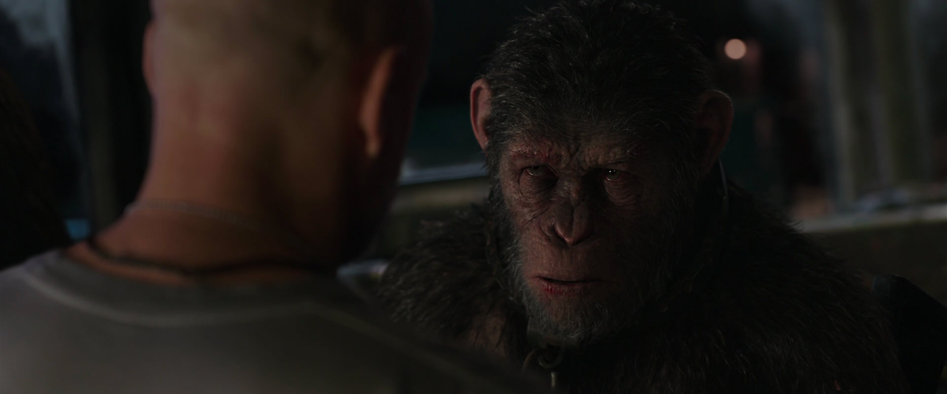 War for the Planet of the Apes (2017) movie still 9208