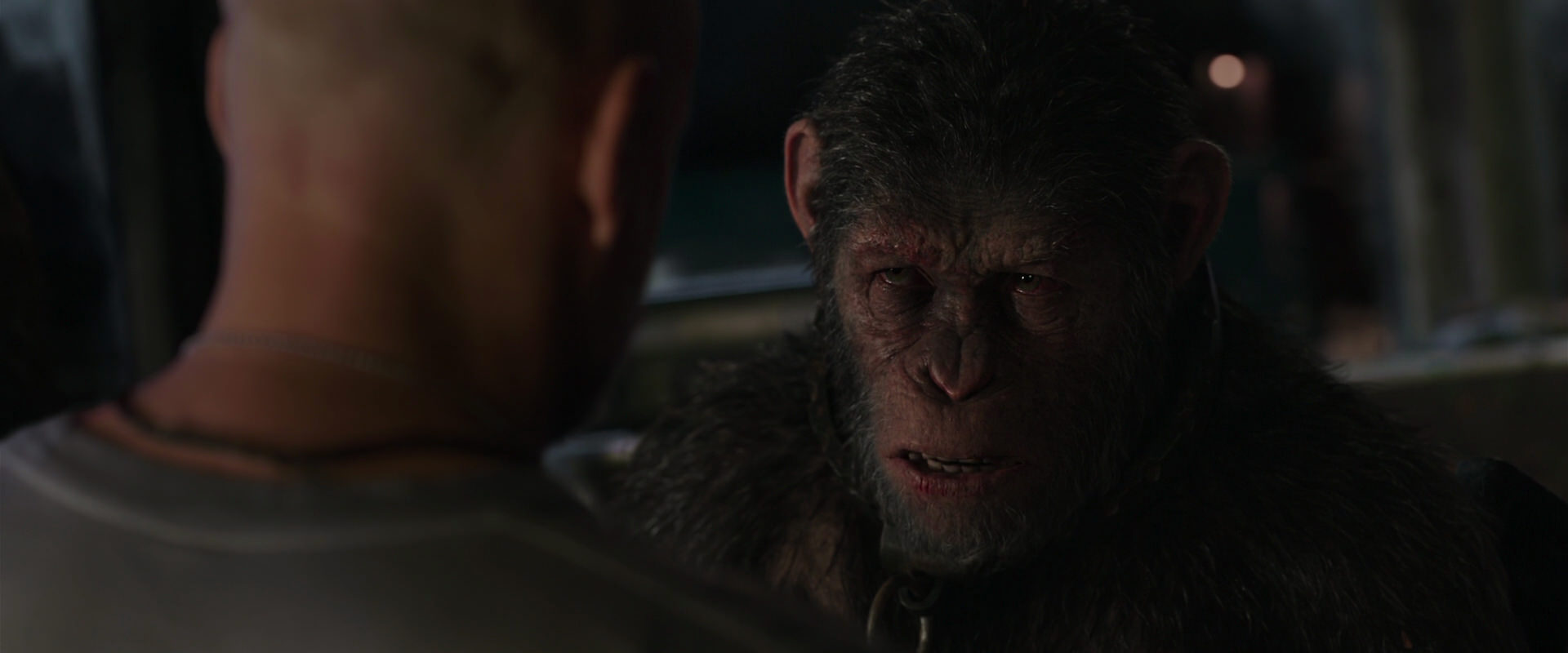 War for the Planet of the Apes (2017) movie still 9211