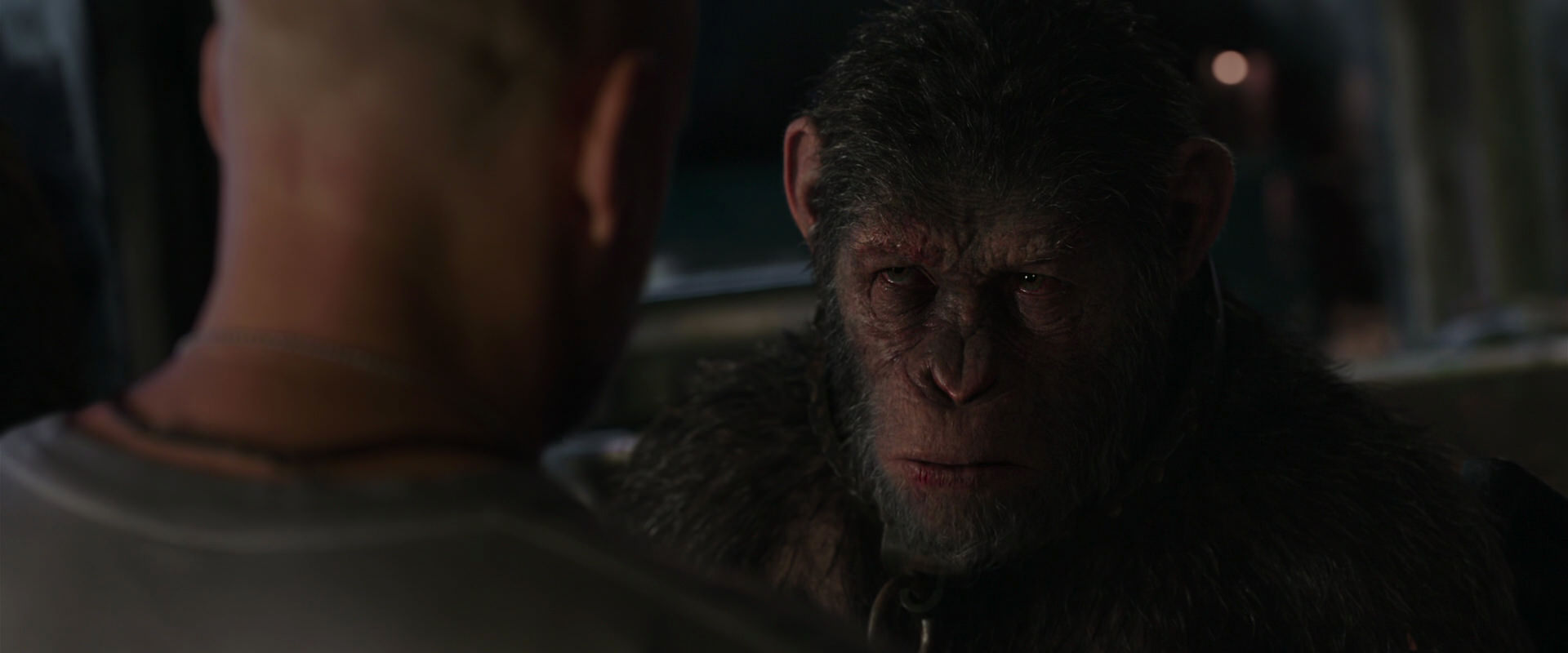 War for the Planet of the Apes (2017) HD screenshot 9212