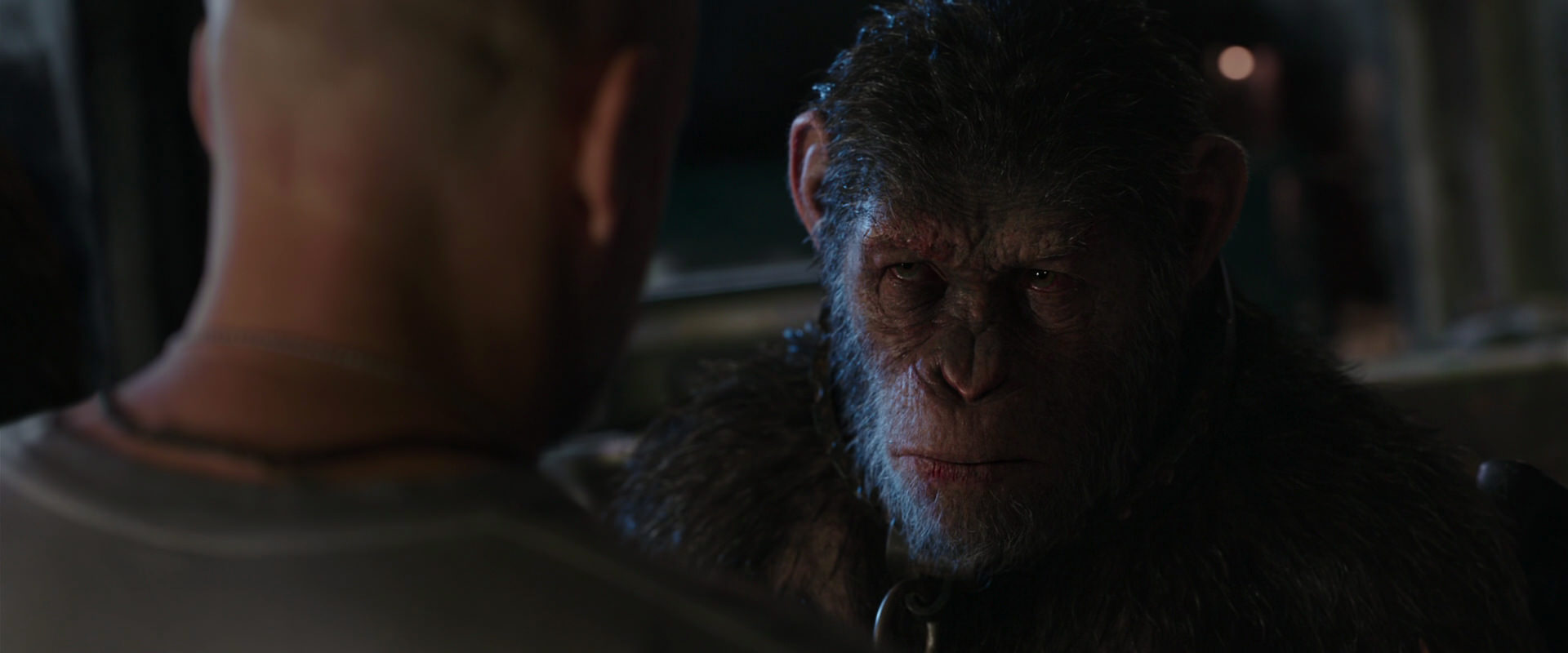 War for the Planet of the Apes (2017) movie still 9214