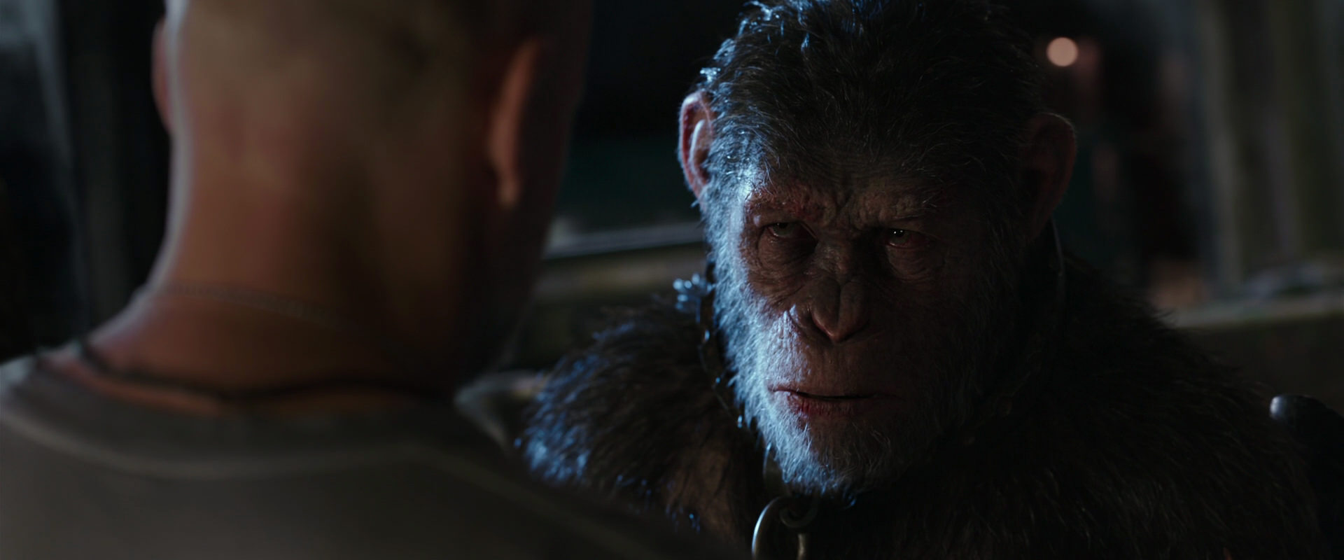 War for the Planet of the Apes (2017) HD screenshot 9215