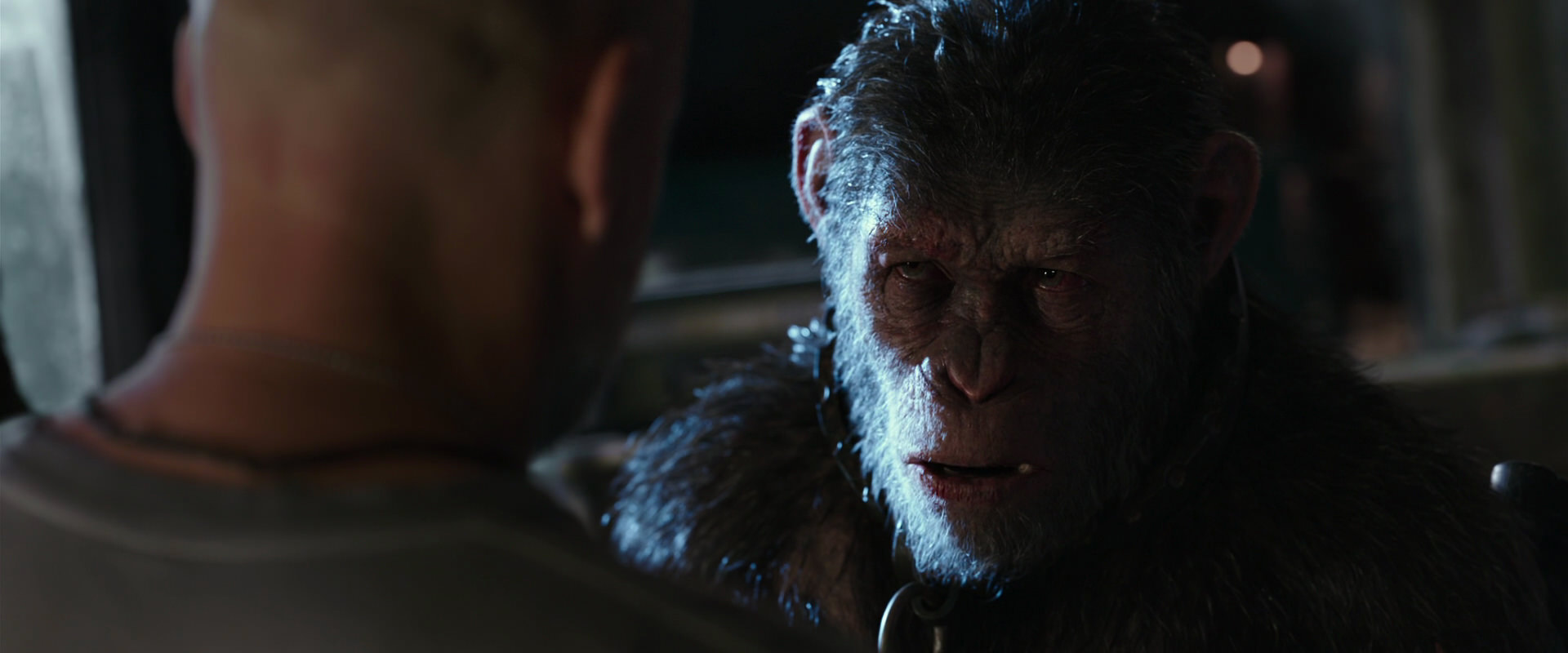 War for the Planet of the Apes (2017) screencap 9216