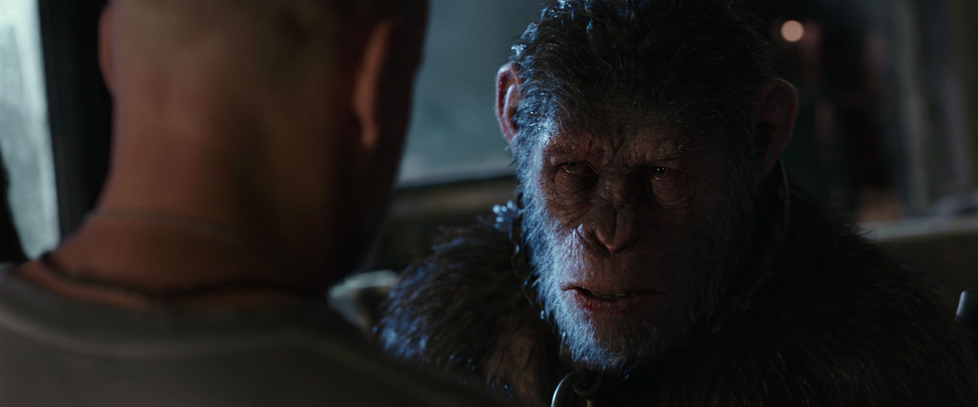 War for the Planet of the Apes (2017) screencap 9219