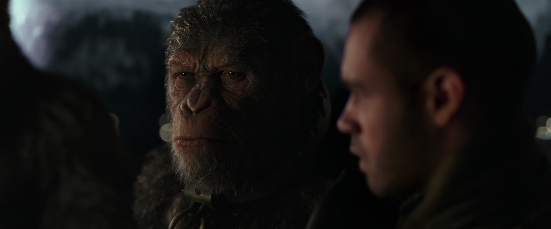 War for the Planet of the Apes (2017) movie still 9256