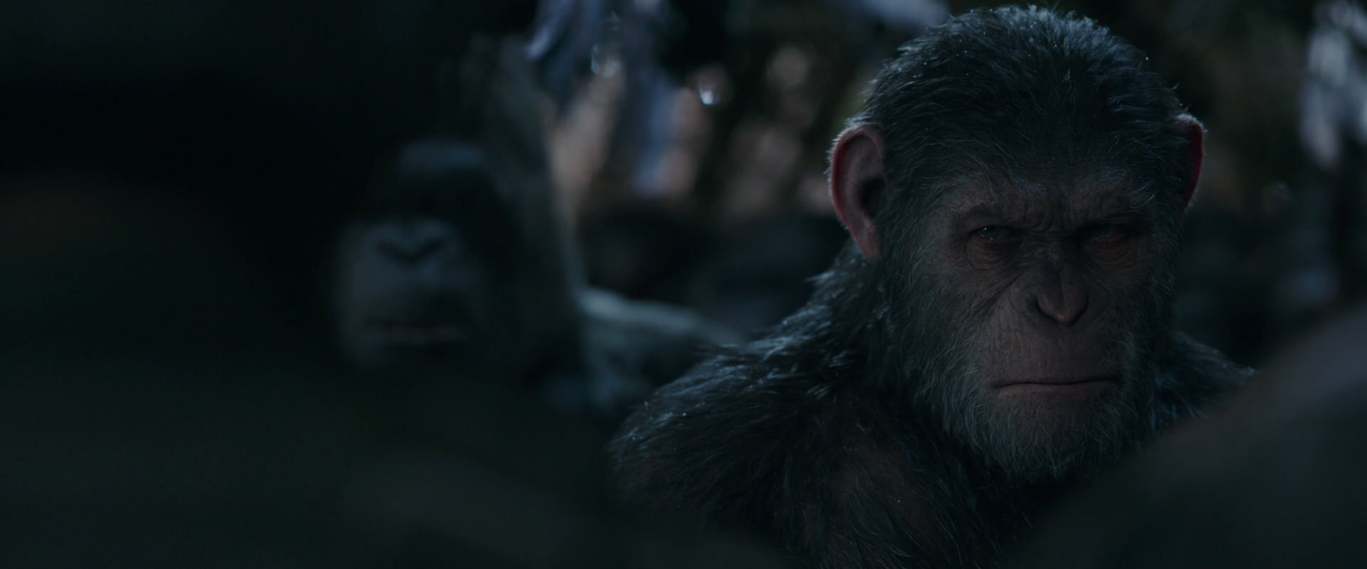 War for the Planet of the Apes (2017) HD screenshot 926