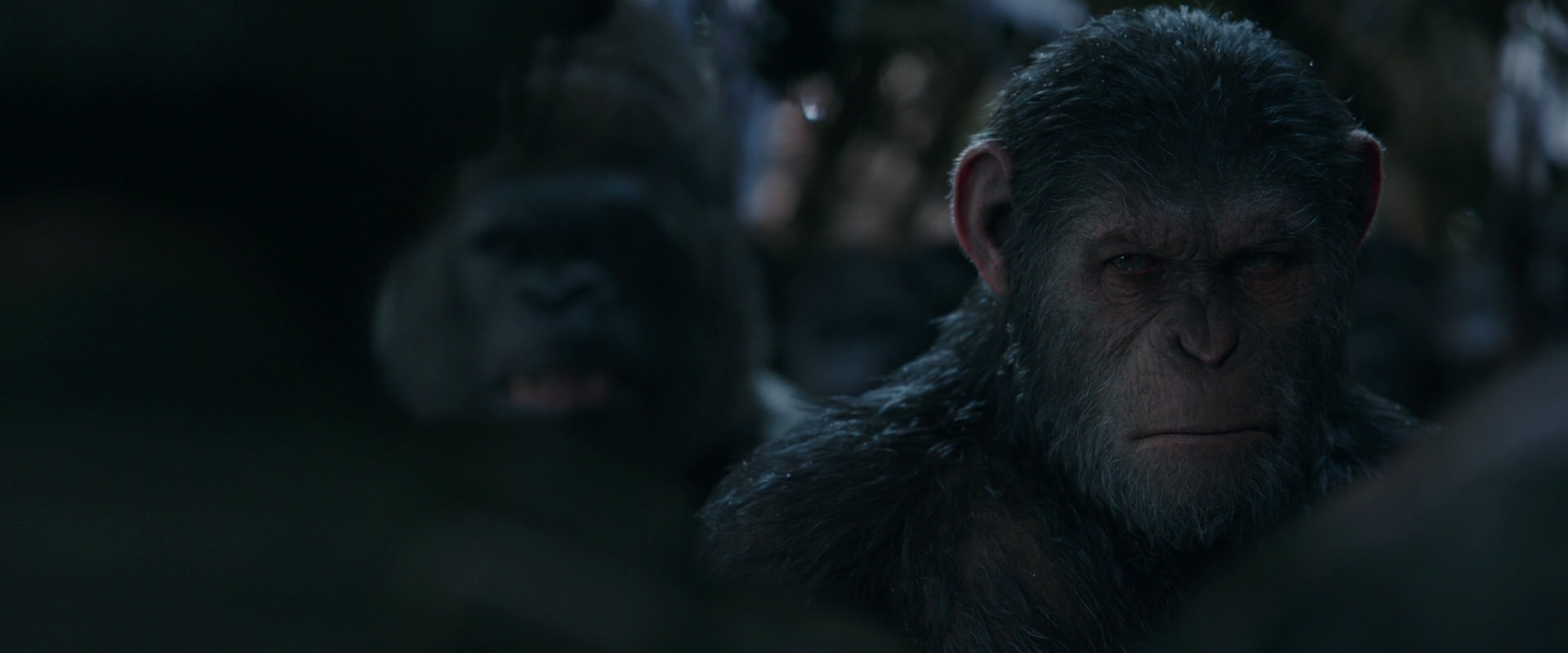War for the Planet of the Apes (2017) screencap 927