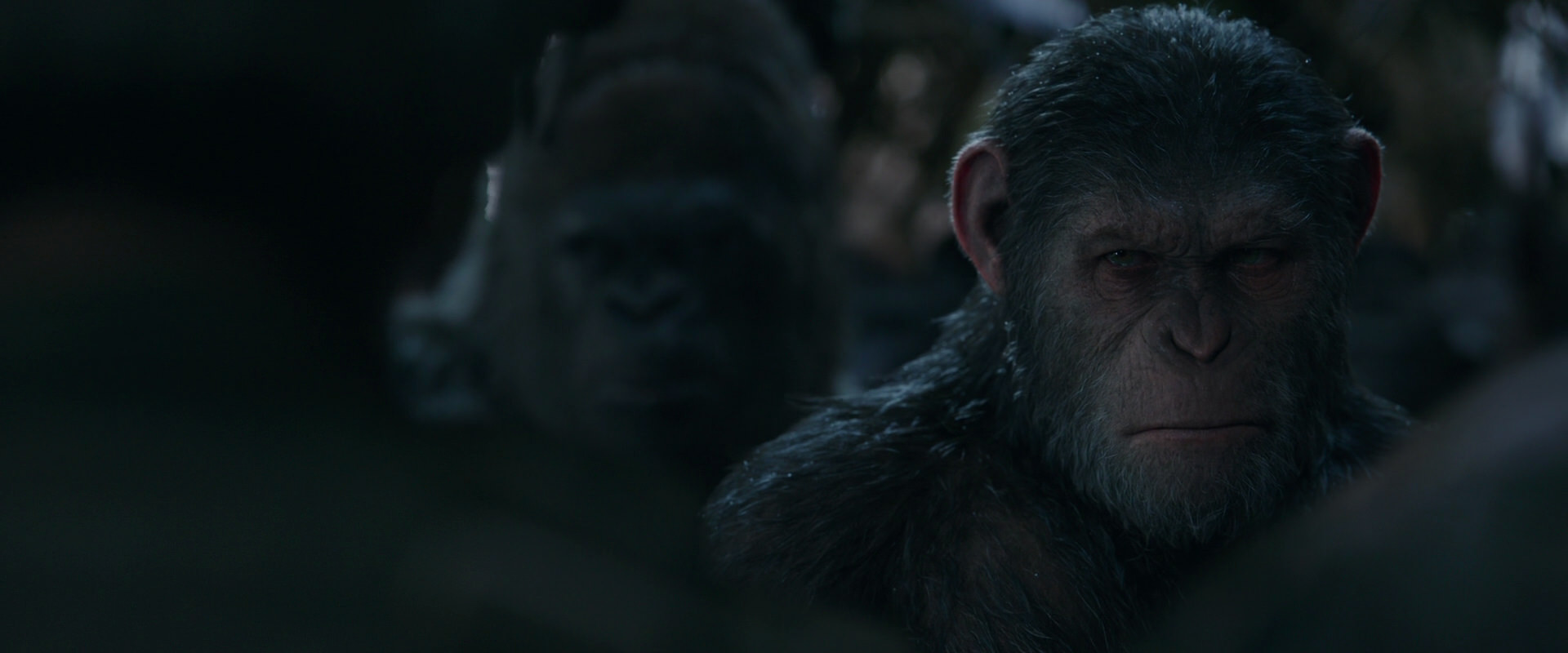 War for the Planet of the Apes (2017) movie still 928